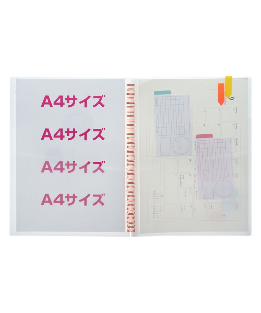 シネマコレクション cinemacollection リングファイル リングポケットファイル パーティタイム キャンディ サンスター文具 新学期準備文具 おしゃれ グッズ  （メーカー指定色） メーカー指定色