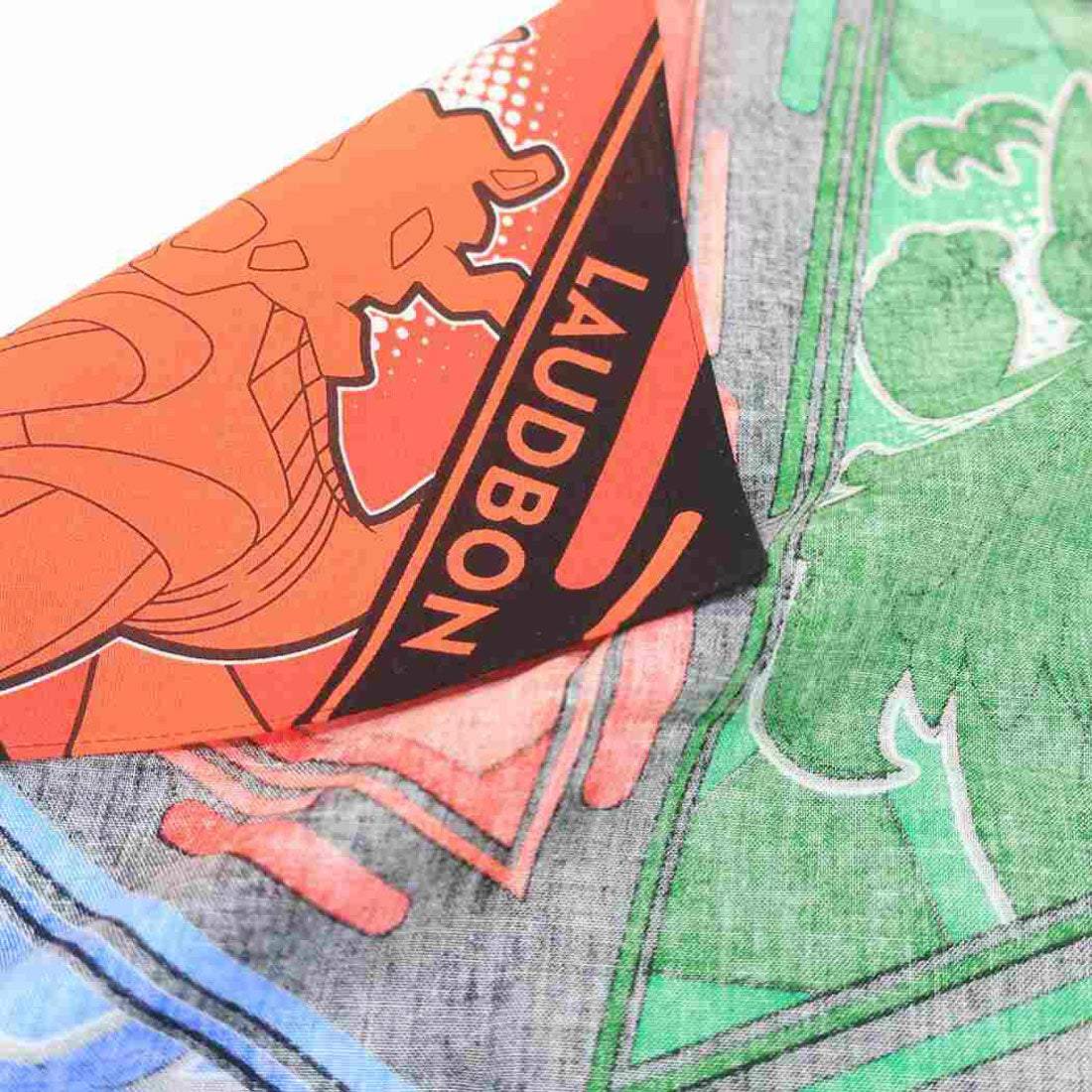 シネマコレクション cinemacollection ポケットモンスター ランチクロス 大判ハンカチ スマイル ポケモン バンビーナ 入園入学準備雑貨 キャラクター グッズ 他