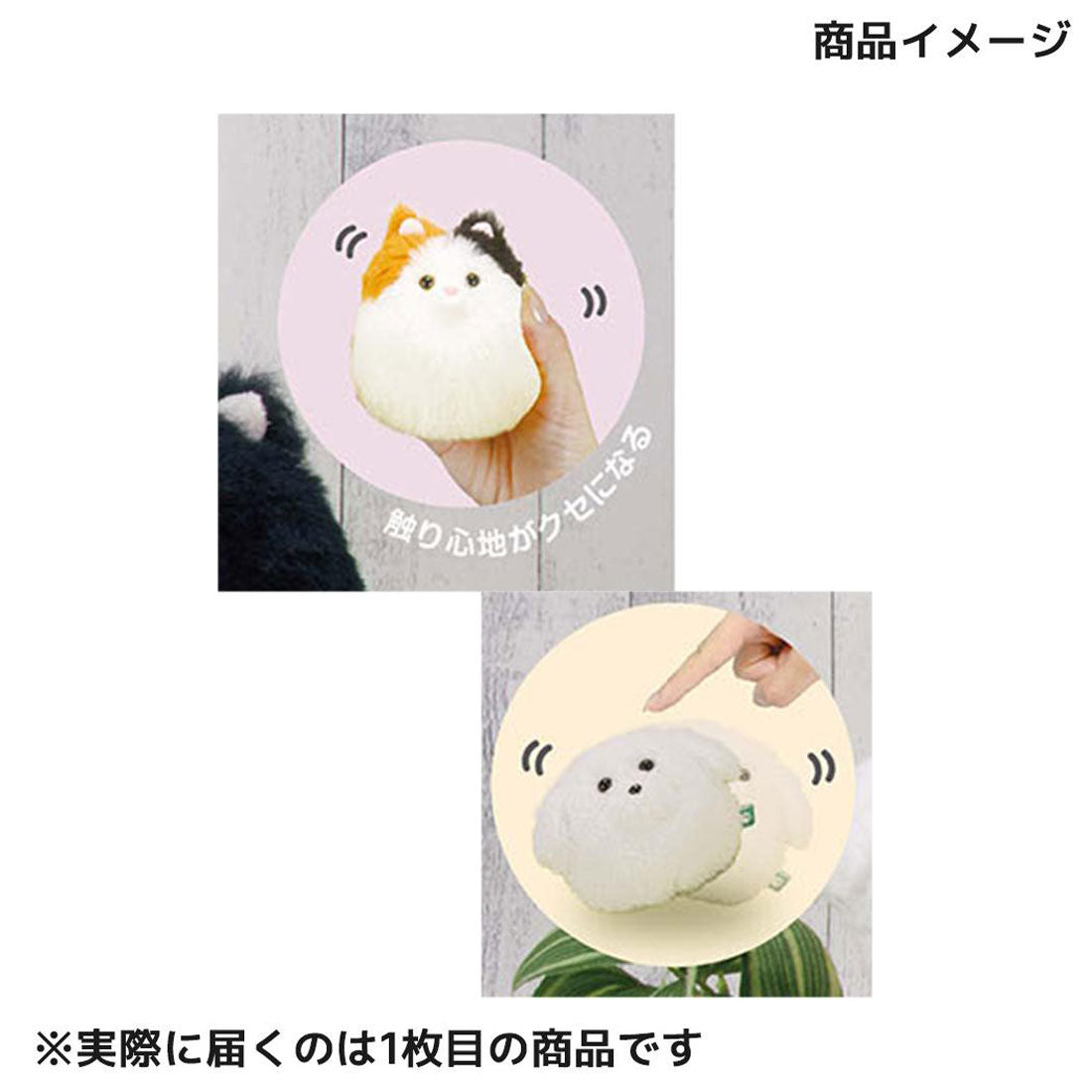 シネマコレクション cinemacollection ぬいぐるみ わんコロン ビションフリーゼ いぬ アイアップ プレゼント かわいい グッズ ホワイト