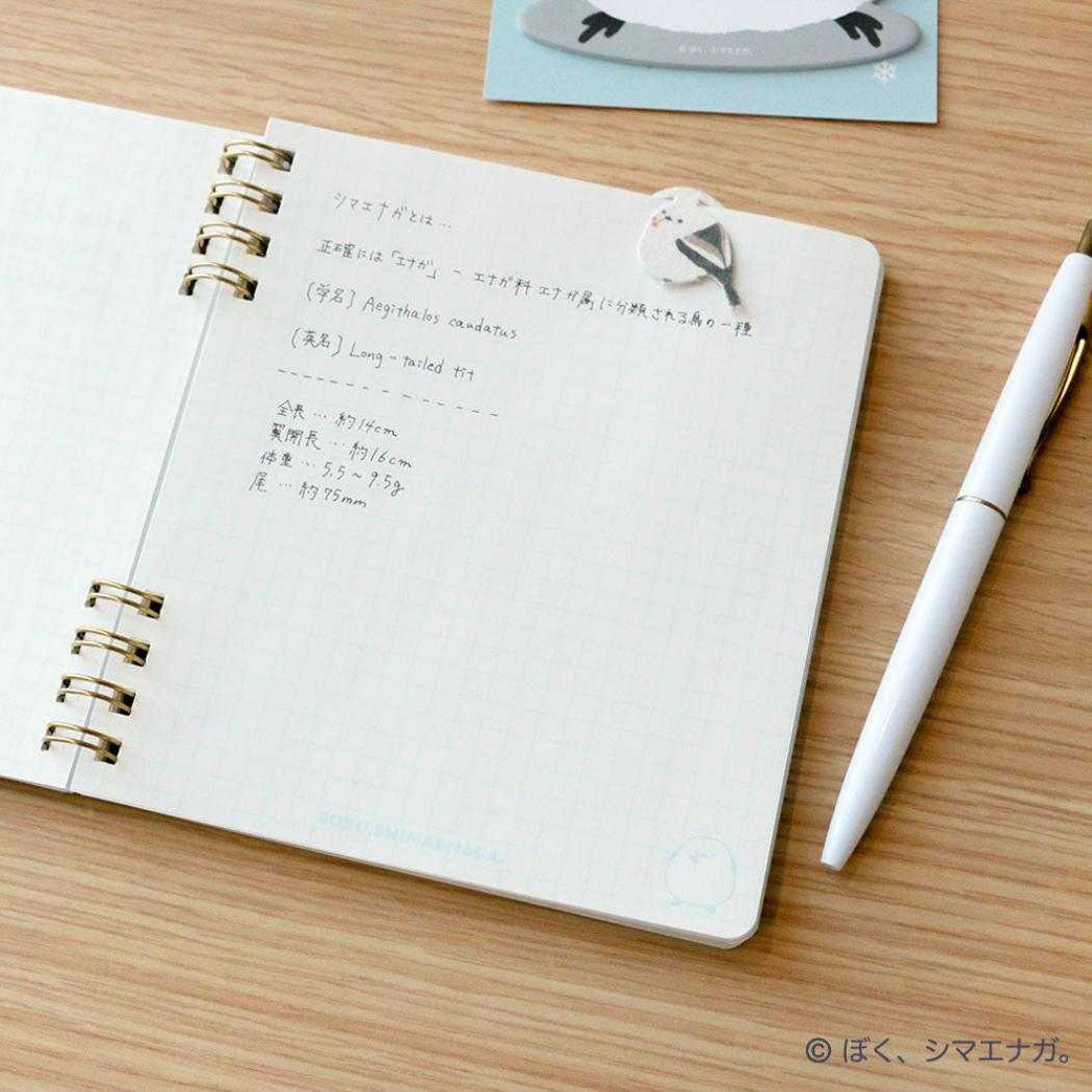 シネマコレクション cinemacollection ぼく、シマエナガ 方眼ノート まんまるノート フタバ 新学期準備文具 かわいい グッズ 他
