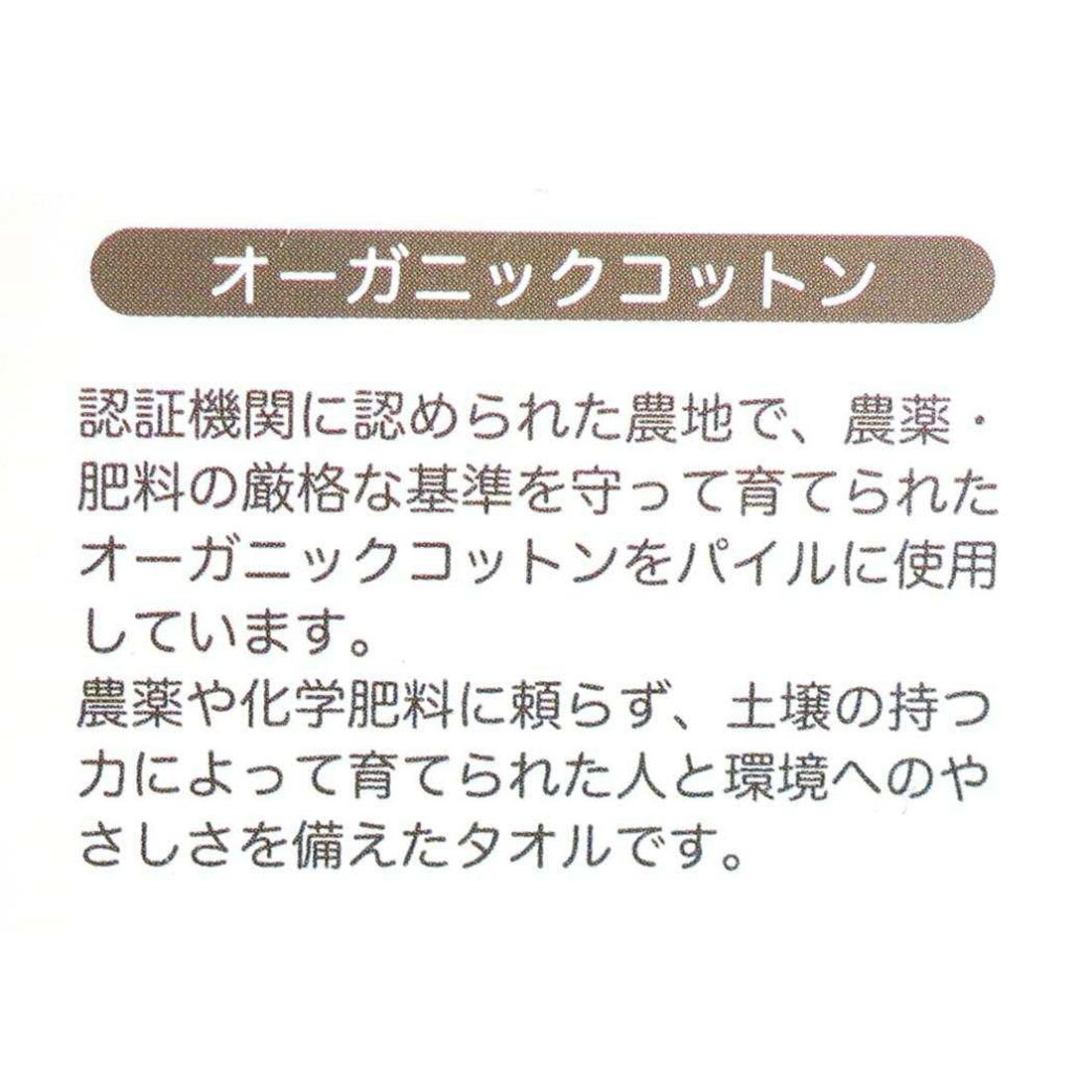 シネマコレクション cinemacollection ハリーポッター ミニタオル ジャガードハンカチタオル ウィーズリーセーターR ワーナーブラザース 丸眞 汗拭きタオル 映画キャラクター グッズ レッド