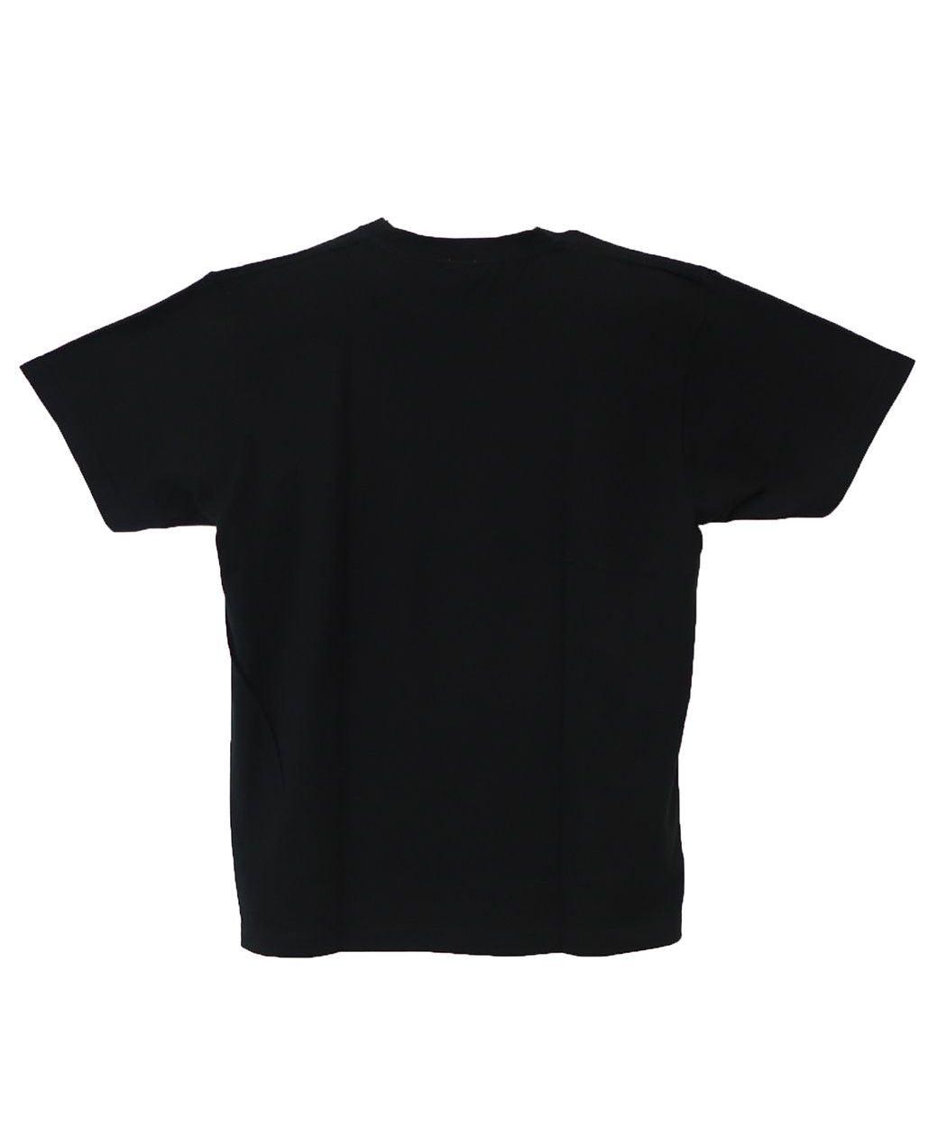 シネマコレクション cinemacollection ホグワーツ レガシー Tシャツ L ロゴ ウィザーディングワールド スモールプラネット コレクション雑貨 WIZARDINGWORLD グッズ  （メーカー指定色） メーカー指定色