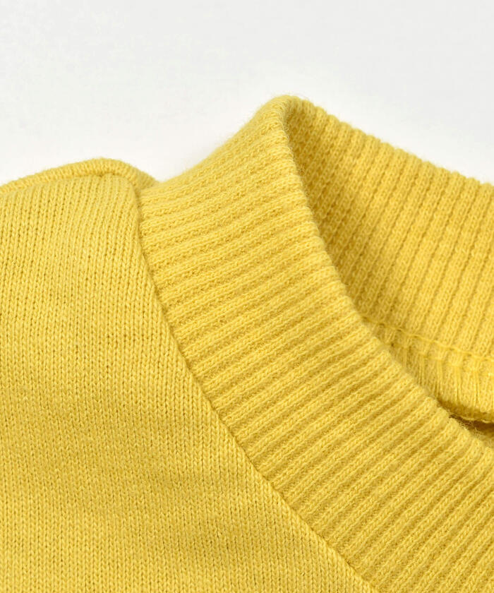 スラップ スリップ SLAP SLIP 格紋恐龍補丁刺繡長袖T恤