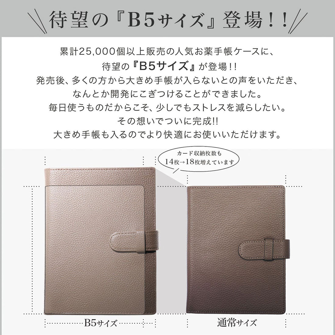 ブルーシンシア BLUE SINCERE お薬手帳ケース B5 本革 カード14枚可 スキミング防止 （ディープグリーン） ディープグリーン