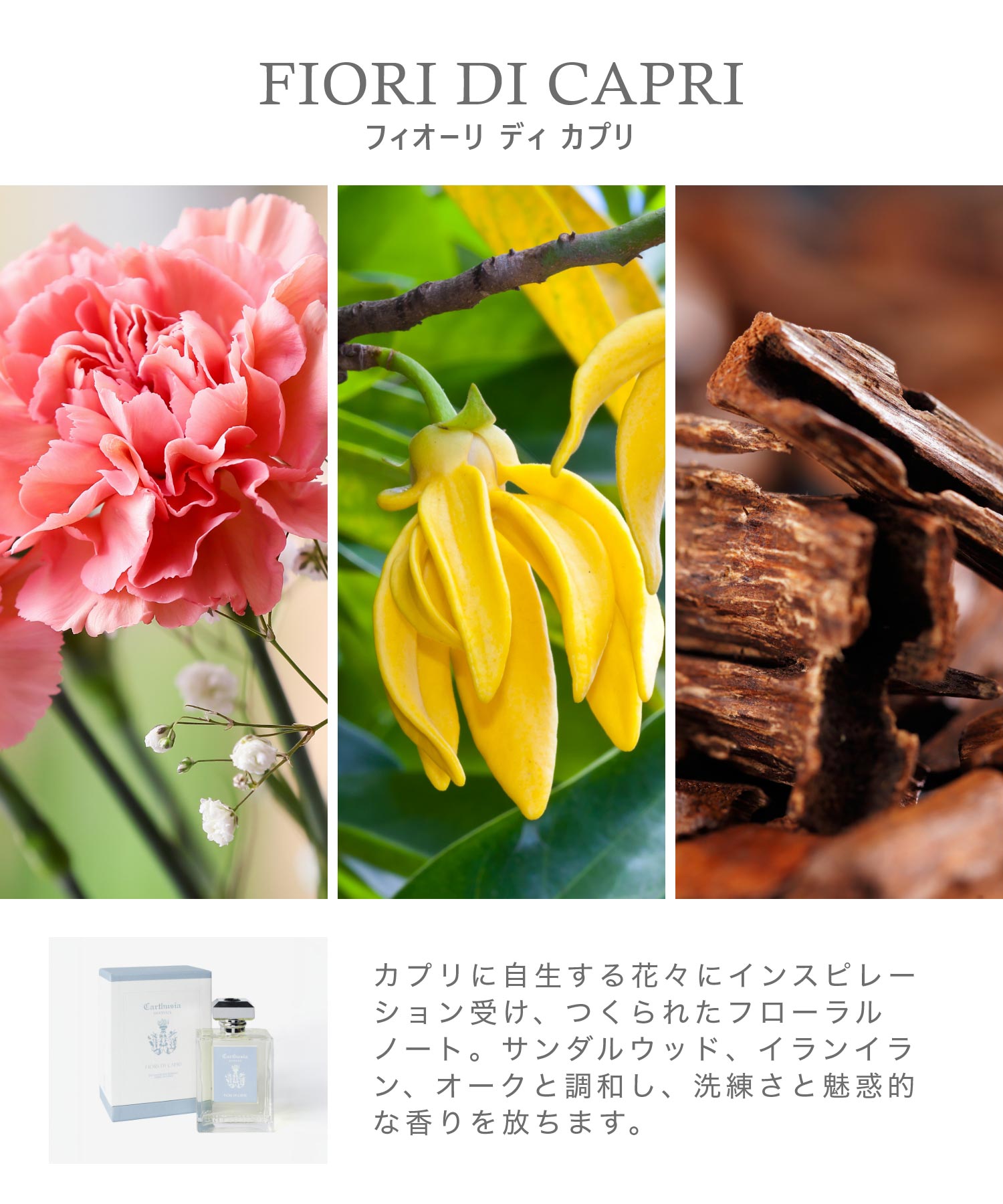 カルトゥージア Carthusia リードディフューザー 480mL ユニセックス ホーム＆グッズ 【返品不可商品】 （FIORI DI CAPRI） FIORI DI CAPRI