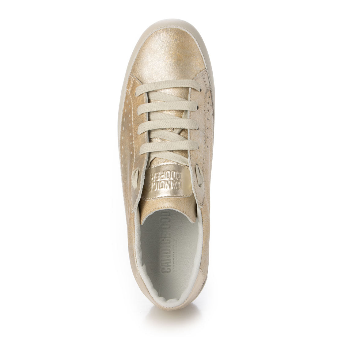 キャンディスクーパー CANDICE COOPER イタリア製 レザースニーカー （ICE-GOLD） ICE-GOLD