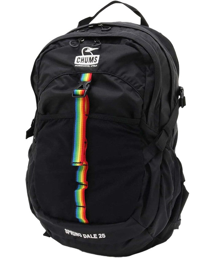 チャムス CHUMS チャムス CHUMS アウトドア スプリングデール25リットル メンズ レディース デイパック リュック 25L バッグ フェス 登山 ハイキン （K042 BLK/RAINBOW） K042 BLK/RAINBOW