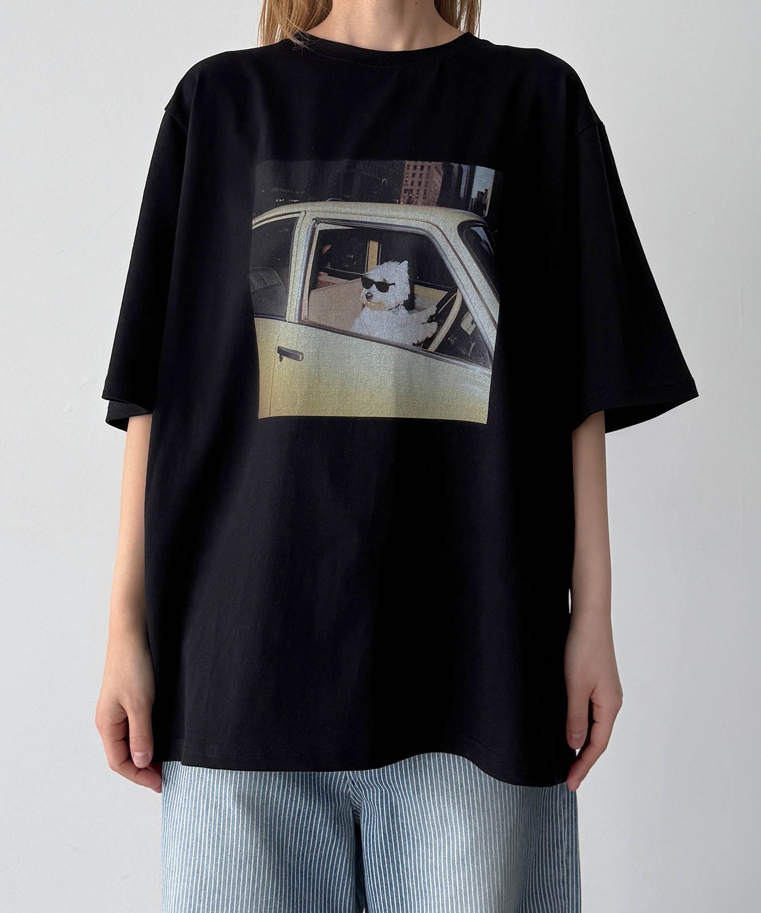 キャナルジーン CANAL JEAN Lakey Park driving dogTシャツ （ブラック） ブラック
