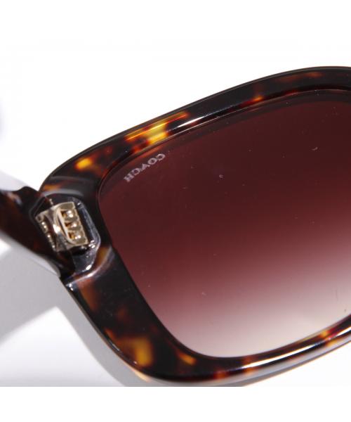 コーチ COACH COACH サングラス HC8352 バタフライ型 セルフレーム （512013/Dark-Tortoise） 512013/Dark-Tortoise