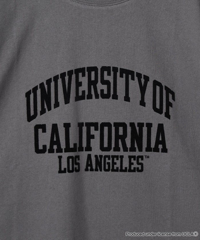 UCLA別注 カレッジptーT COBALT