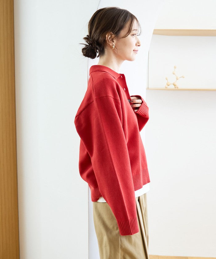 【POLO BCS（ポロ・ビーシーエス）別注】 襟付きポロニット（WEB限定カラーあり） MD.BROWN