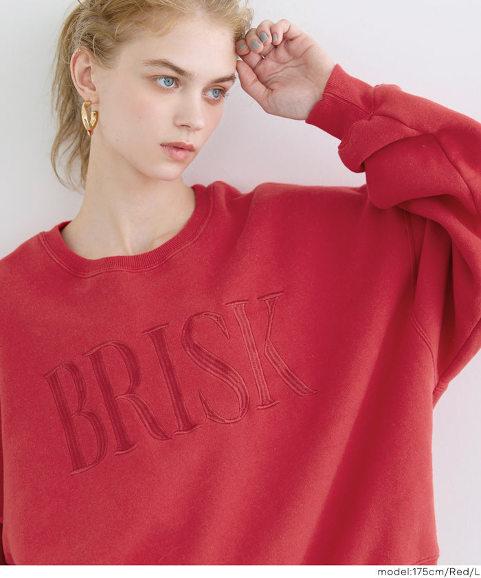 コカ coca ヘビーウェイト裏起毛ビンテージ加工ロゴスウェット （Red） Red