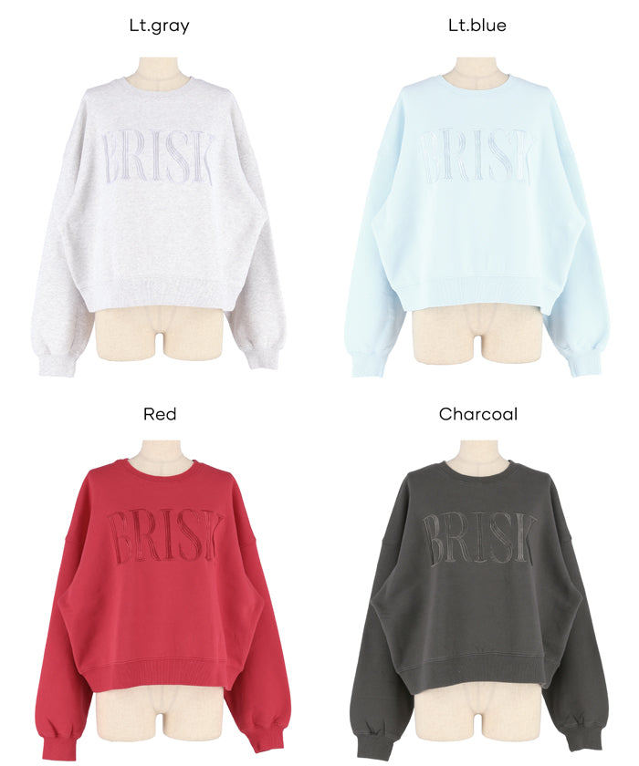 コカ coca ヘビーウェイト裏起毛ビンテージ加工ロゴスウェット （Red） Red