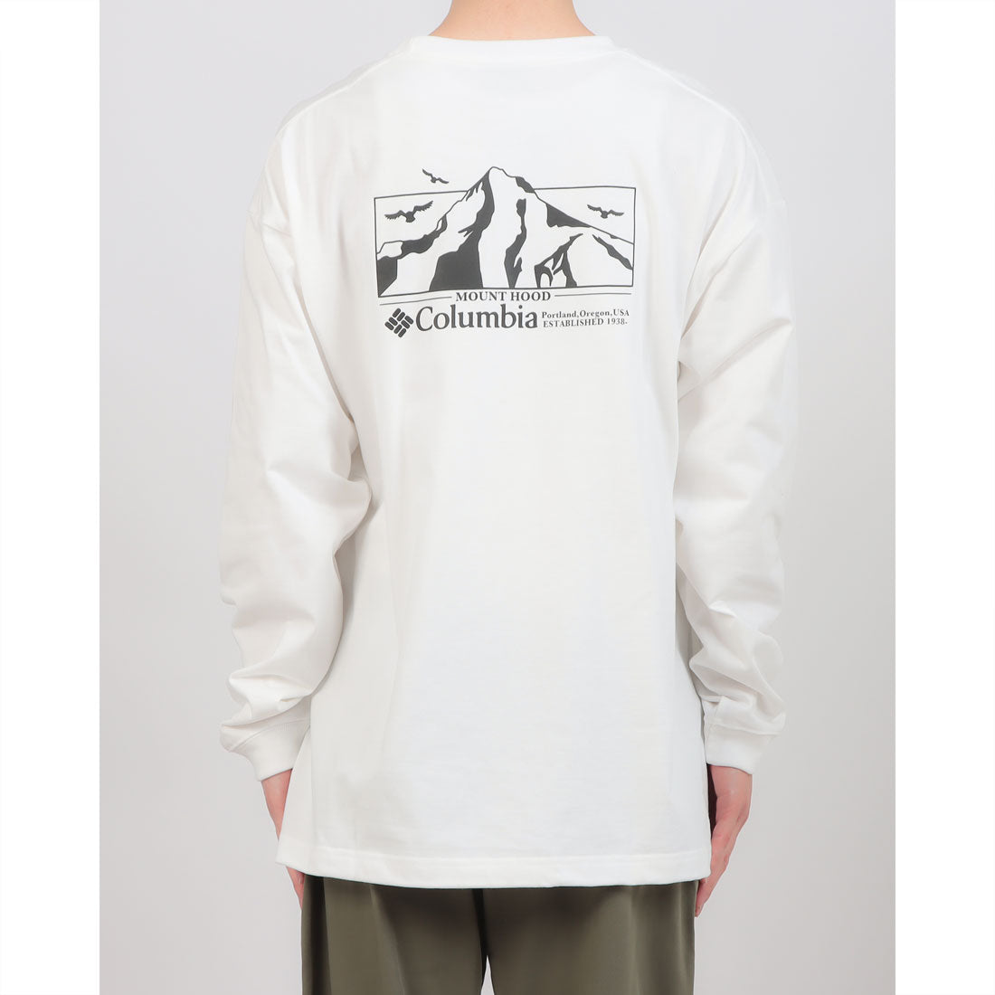 コロンビア Columbia ロマビスタグラフィックロングスリーブTシャツ 長袖Tシャツ （シーソルト） シーソルト