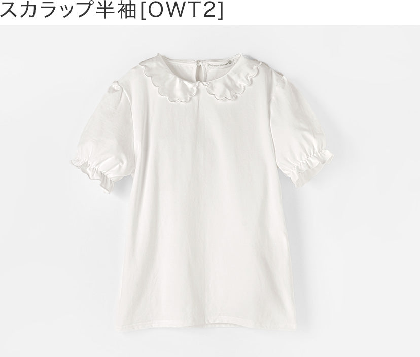 キャサリンコテージ Catherine Cottage やわらかカットソーブラウス （スカラップ半袖[OWT2]） スカラップ半袖[OWT2]
