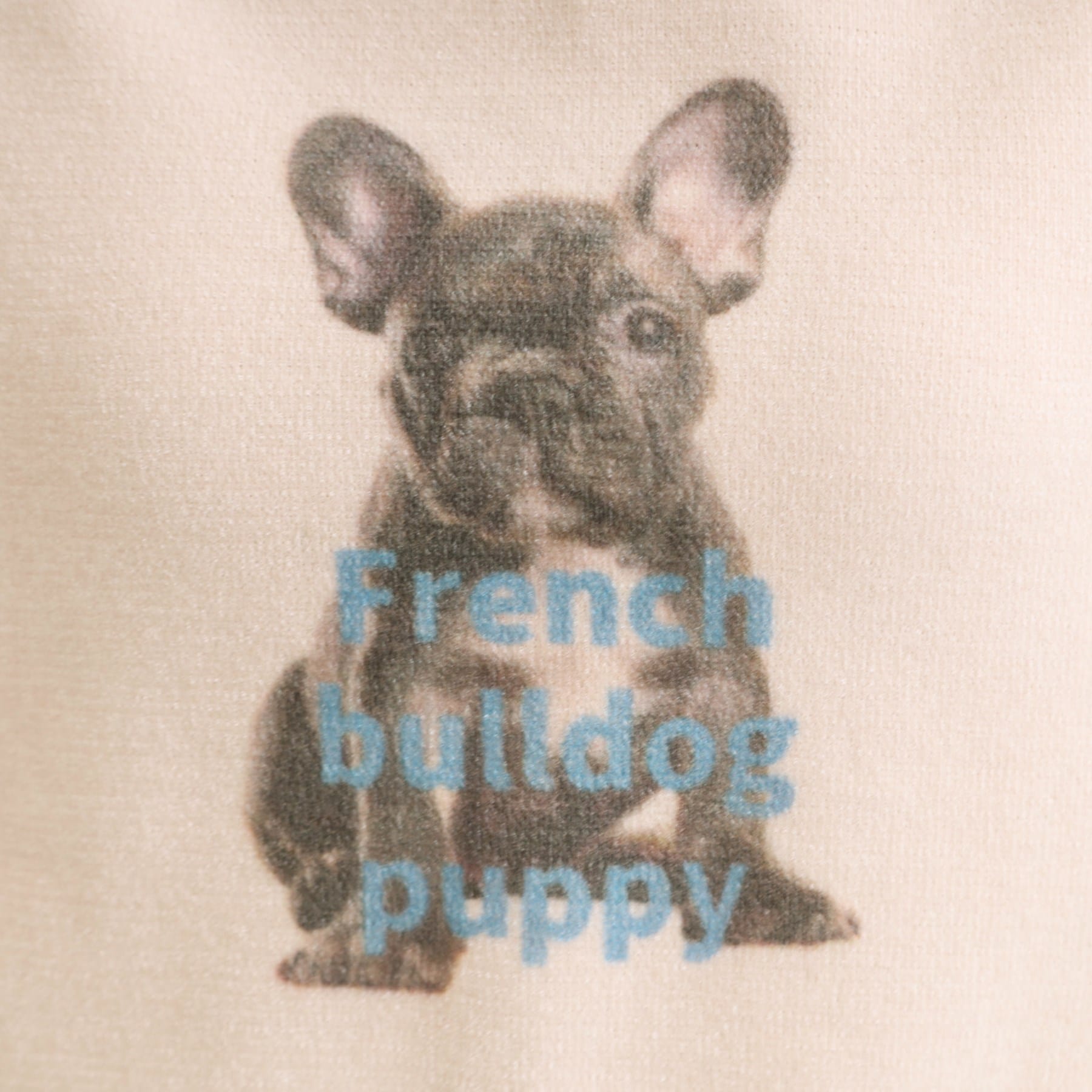 キューティーブロンド Cutie Blonde プリントアニマル モールニット （ライトグレー(011)） ライトグレー(011)