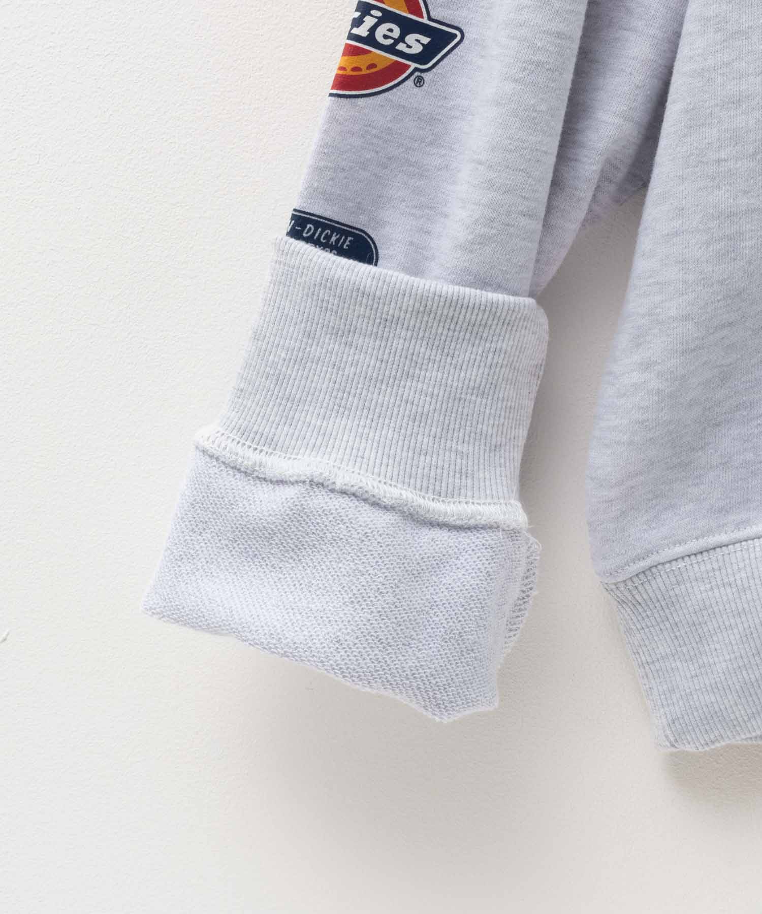 Dickies Fleece Logo Sleeve Hoodie