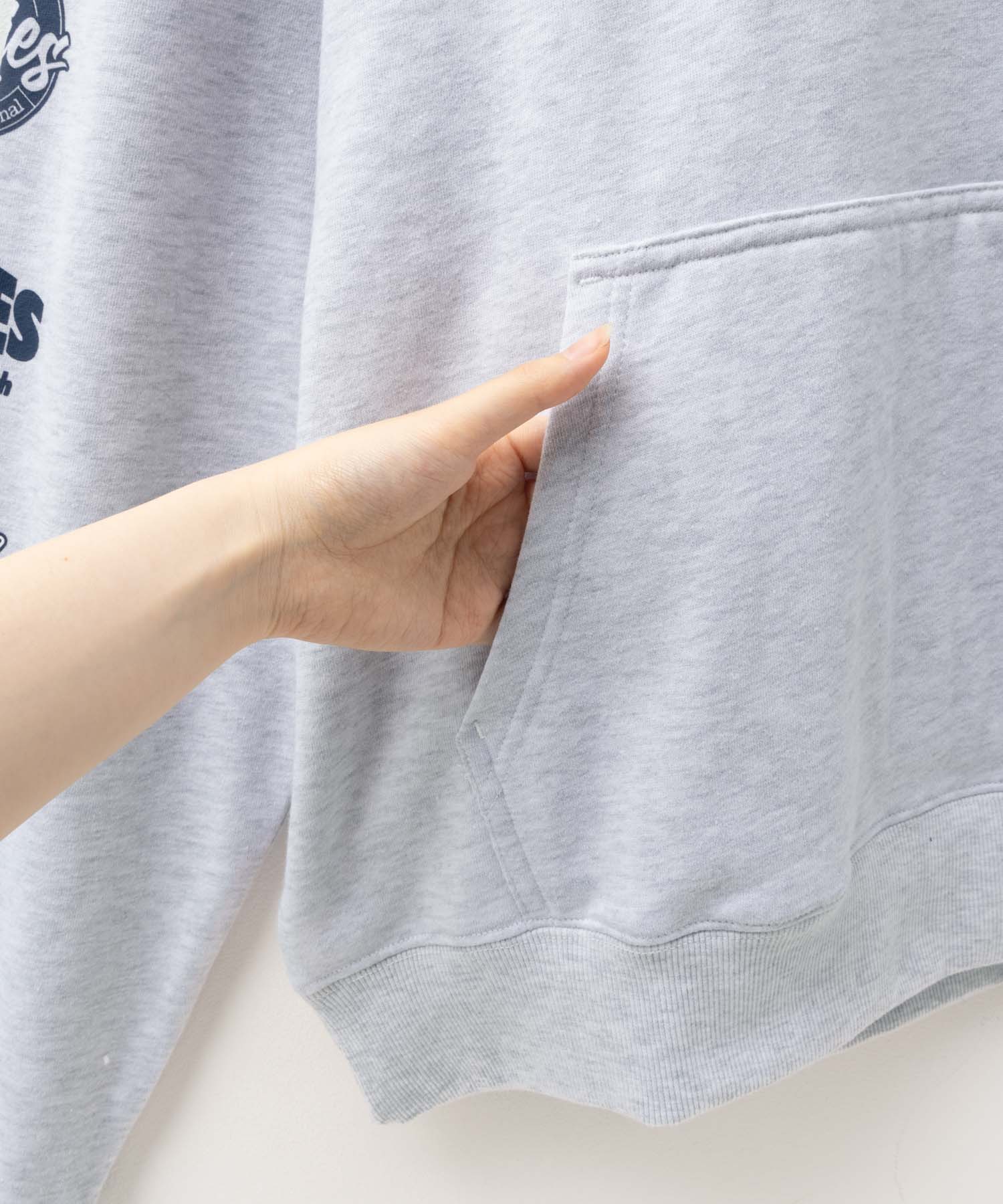 Dickies Fleece Logo Sleeve Hoodie