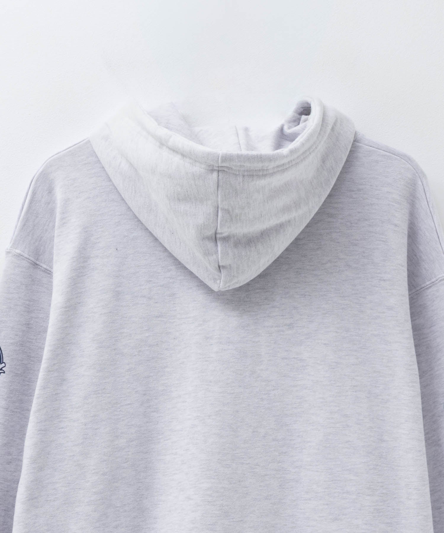 Dickies Fleece Logo Sleeve Hoodie