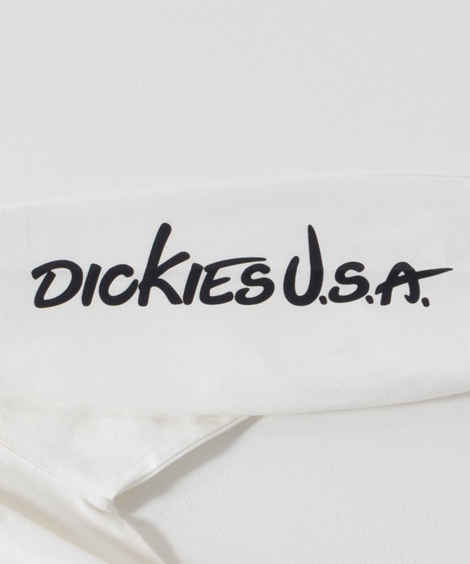 ディッキーズ Dickies スリーブプリント長袖Tシャツ （ブルー） ブルー