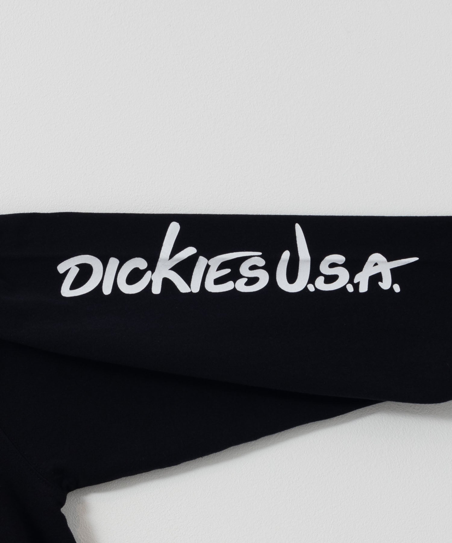 ディッキーズ Dickies スリーブプリント長袖Tシャツ （ブルー） ブルー