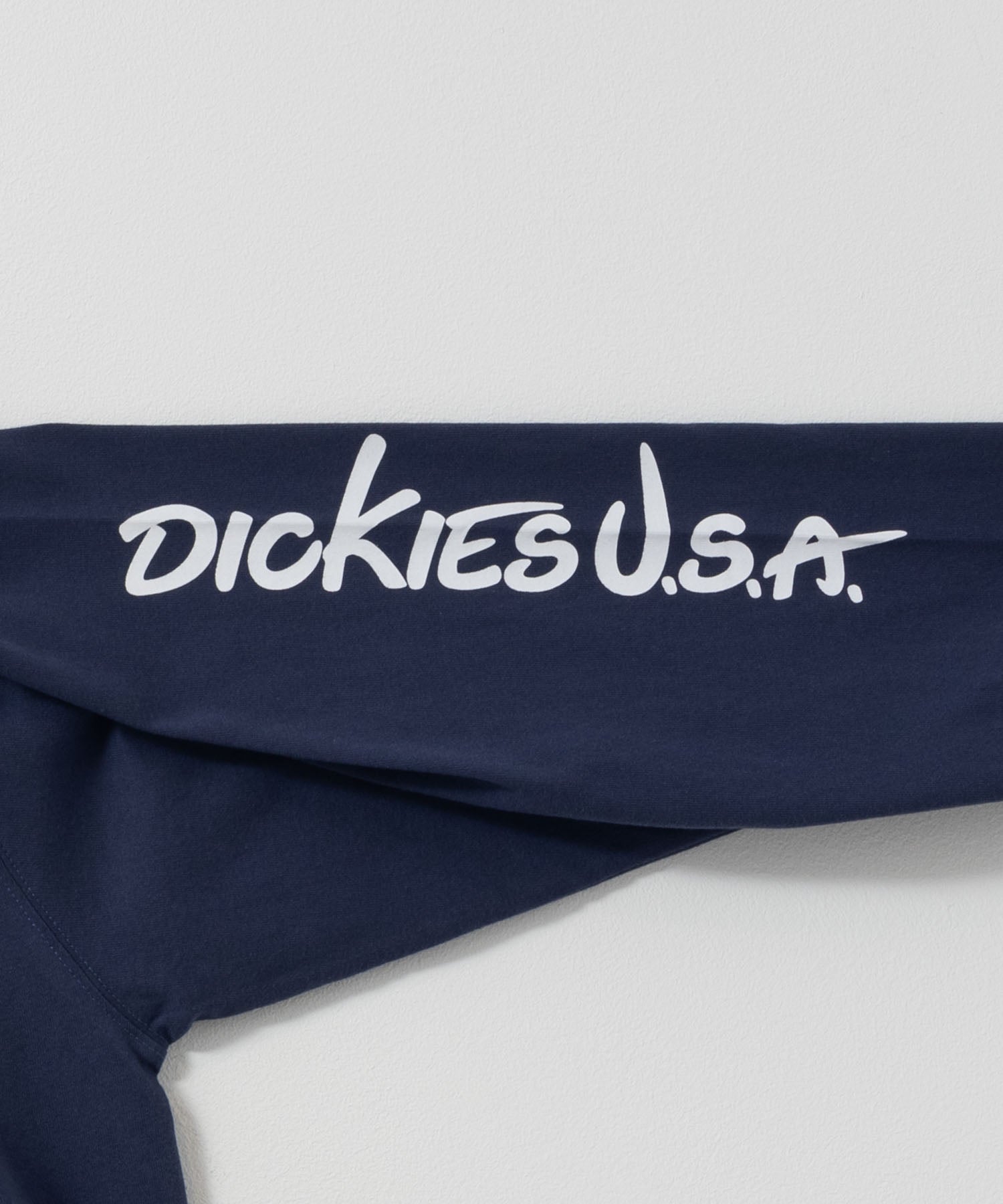 ディッキーズ Dickies スリーブプリント長袖Tシャツ （ブルー） ブルー
