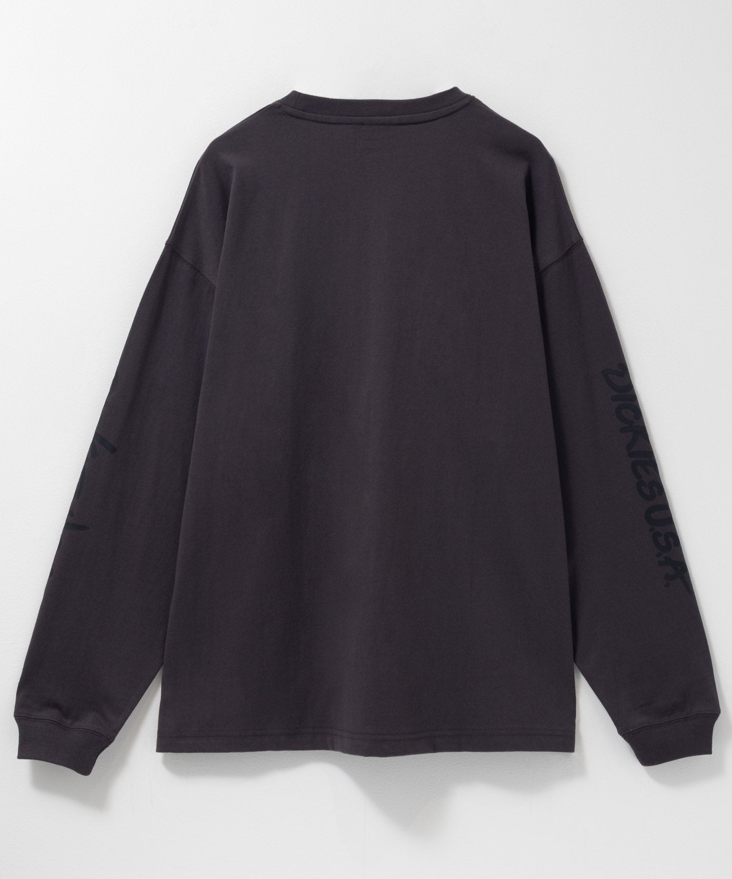 ディッキーズ Dickies スリーブプリント長袖Tシャツ （ブルー） ブルー