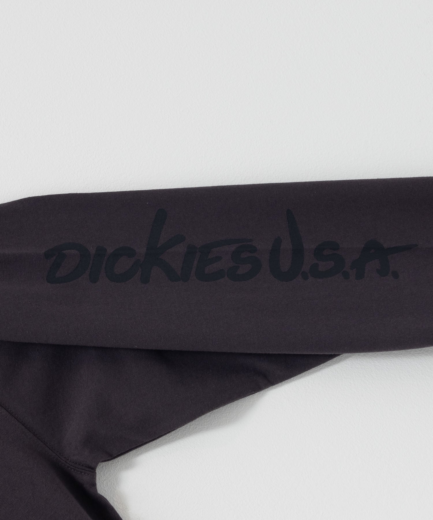 ディッキーズ Dickies スリーブプリント長袖Tシャツ （ブルー） ブルー