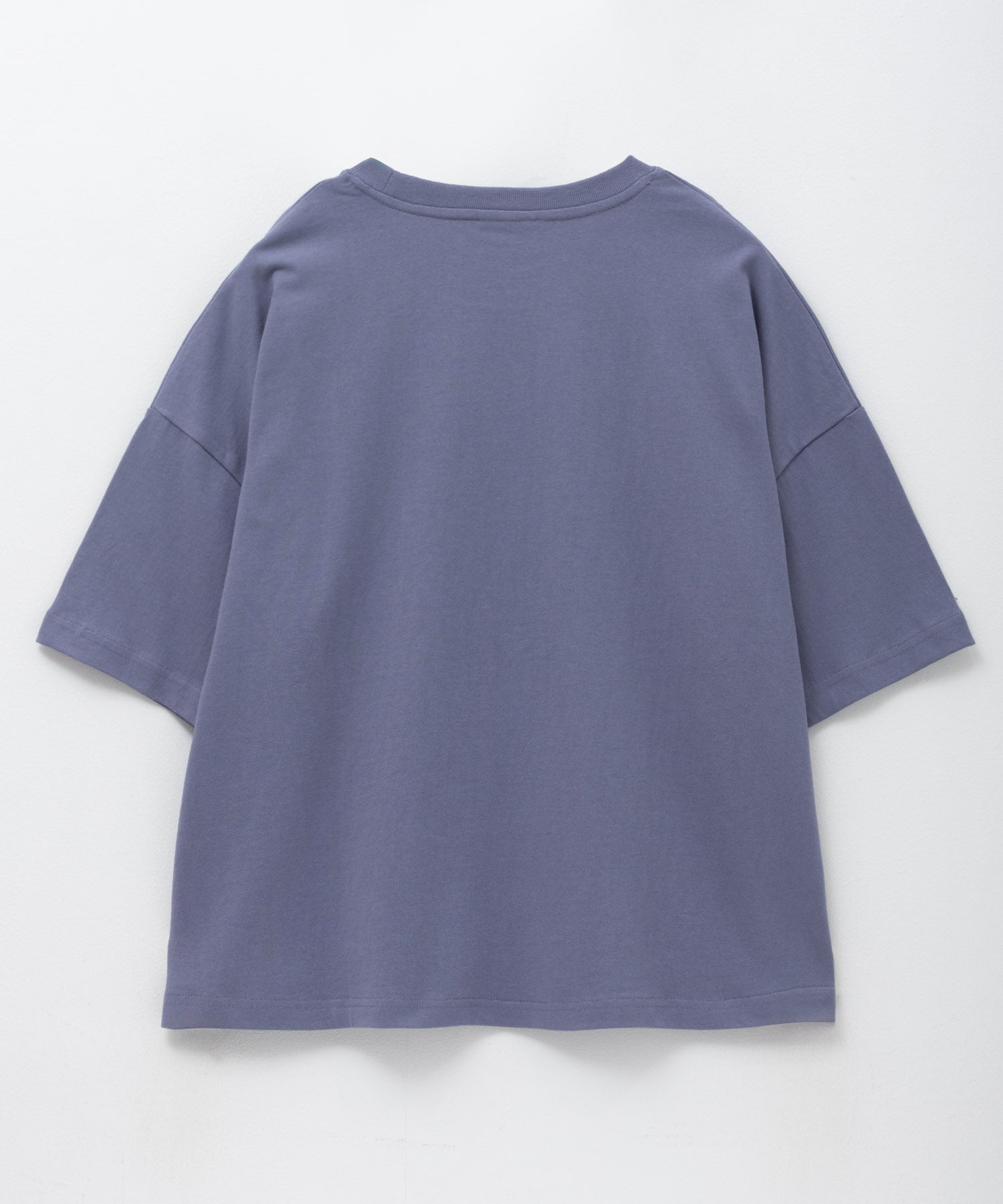 ディッキーズ Dickies バイオ加工カレッジTシャツ （レッド） レッド