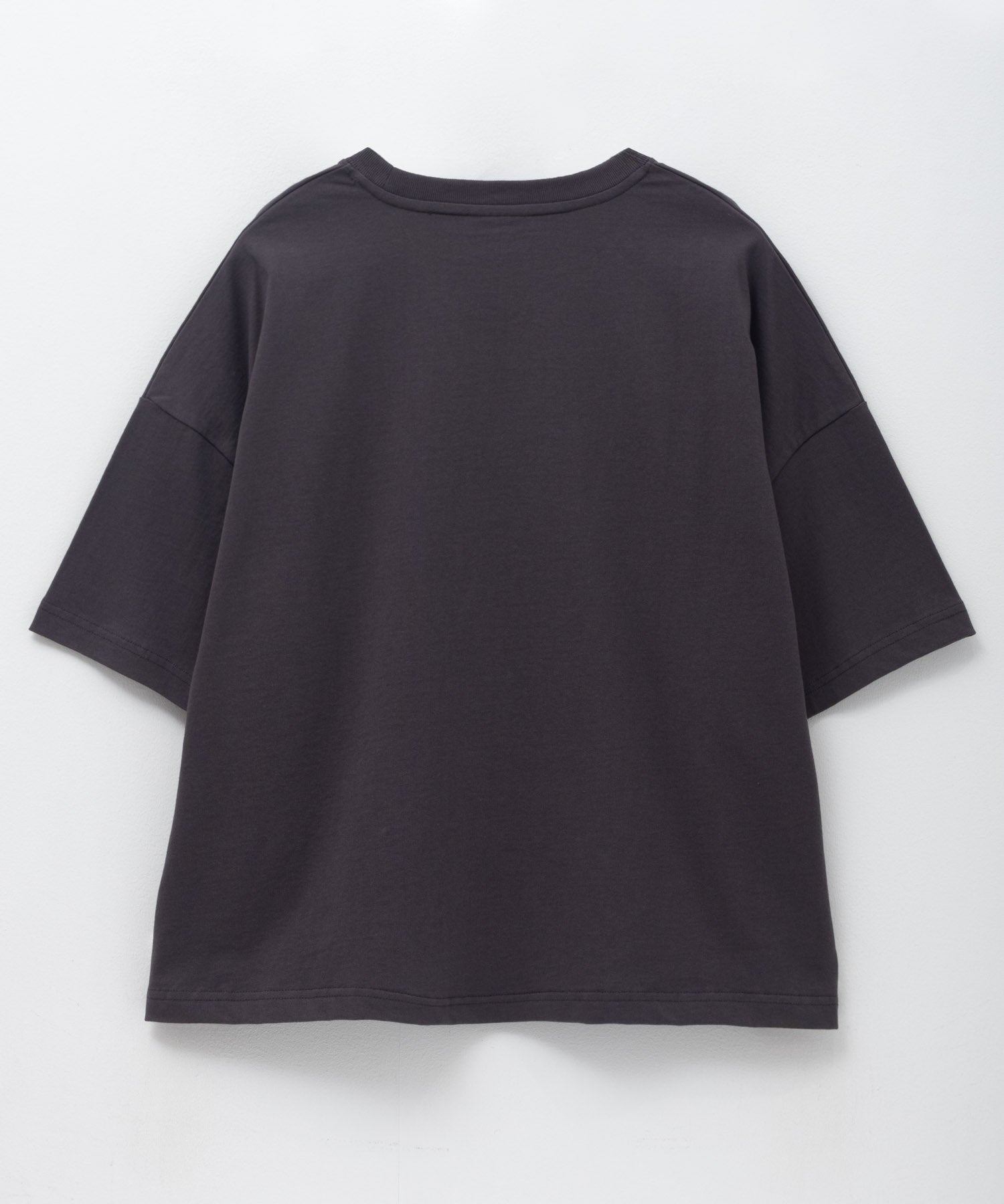 ディッキーズ Dickies バイオ加工カレッジTシャツ （レッド） レッド