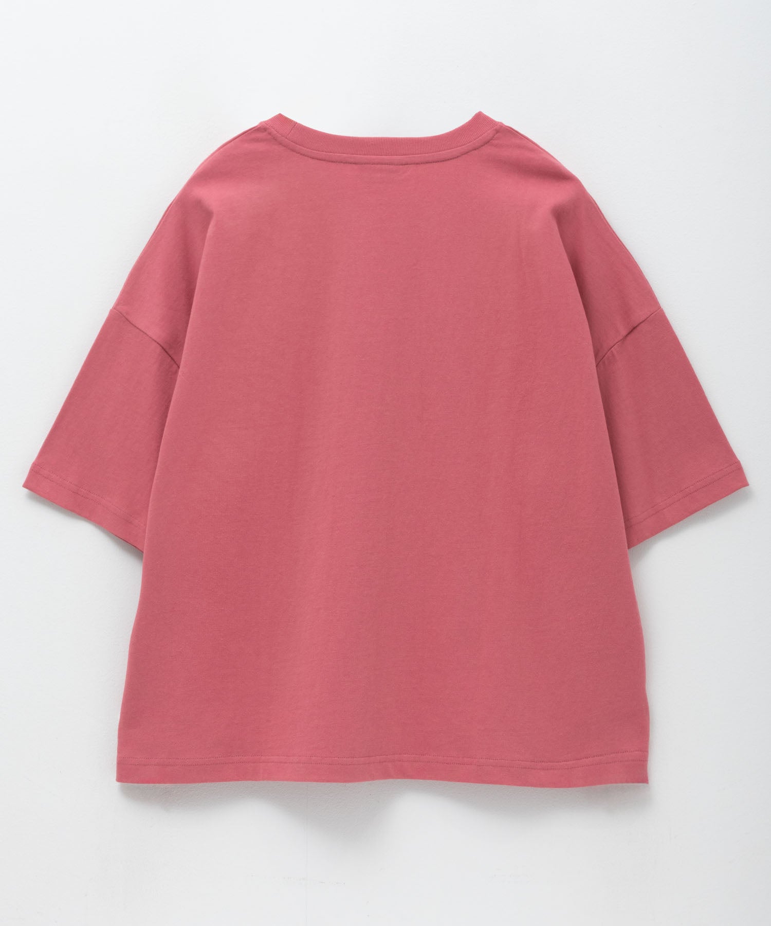ディッキーズ Dickies バイオ加工カレッジTシャツ （レッド） レッド