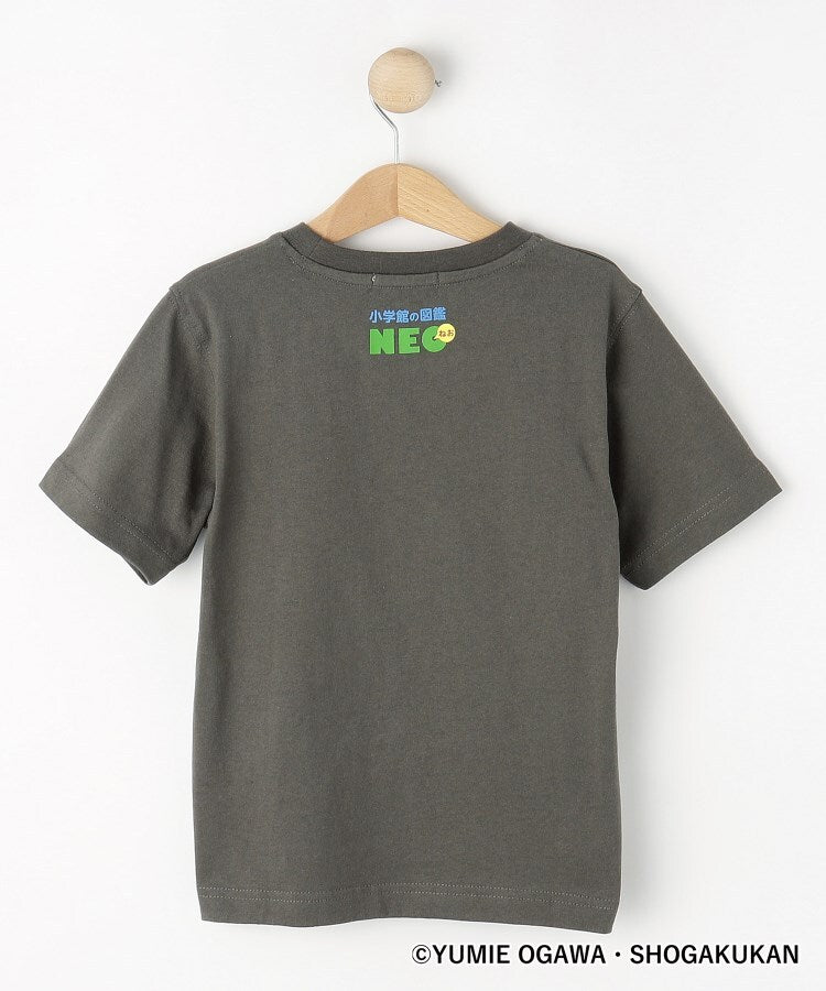 デッサン Dessin 【小学館】コラボ 恐竜変身Tシャツ （チャコールグレー(414)） チャコールグレー(414)