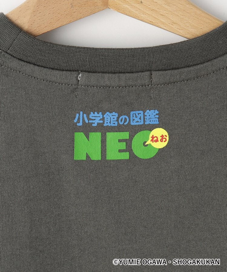 デッサン Dessin 【小学館】コラボ 恐竜変身Tシャツ （チャコールグレー(414)） チャコールグレー(414)