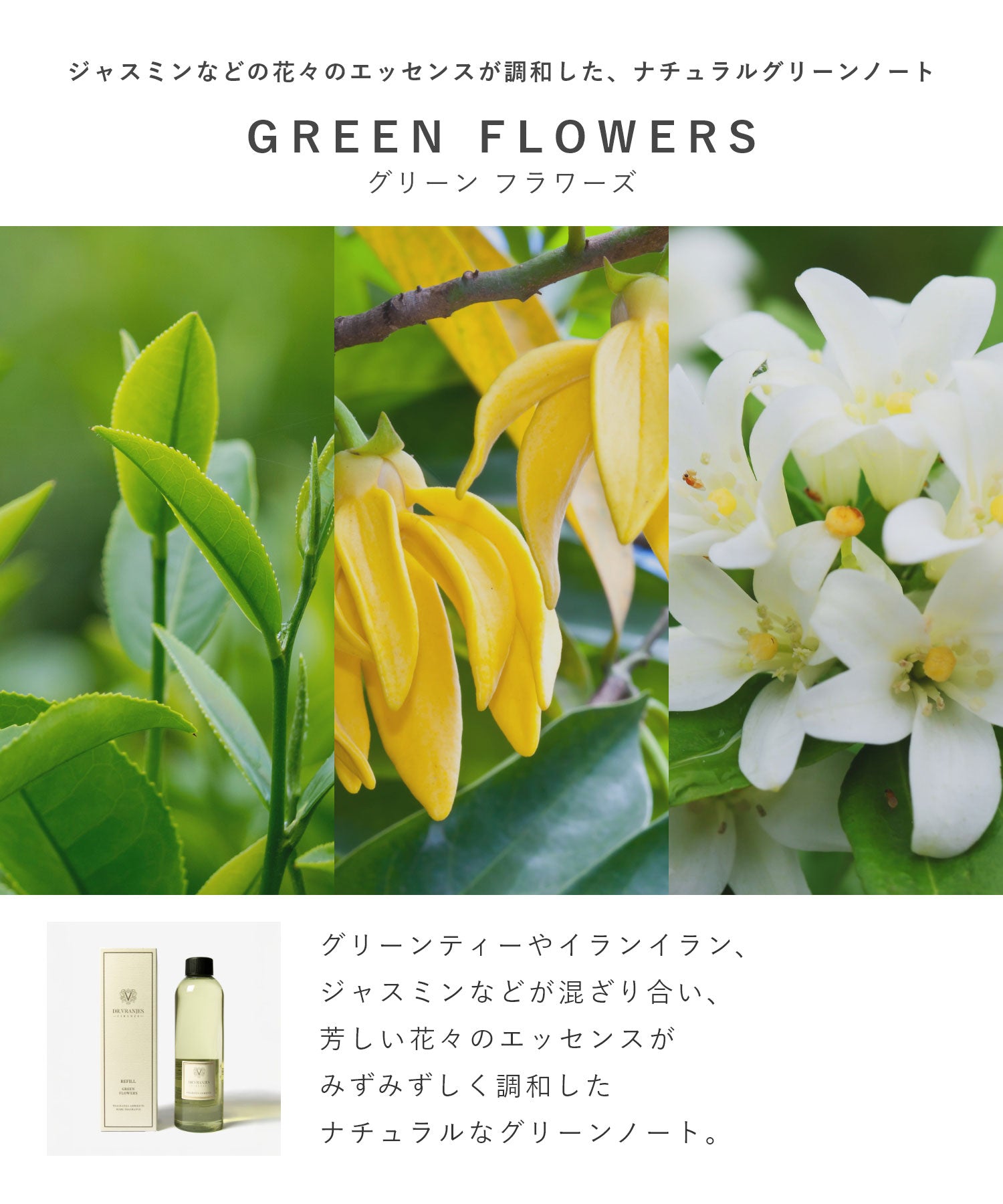 ドットール・ヴラニエス DR. VRANJES ドットール・ヴラニエス Dr. Vranjes ディフューザー 500mL 【返品不可商品】 （バニラ・マンダリン） バニラ・マンダリン