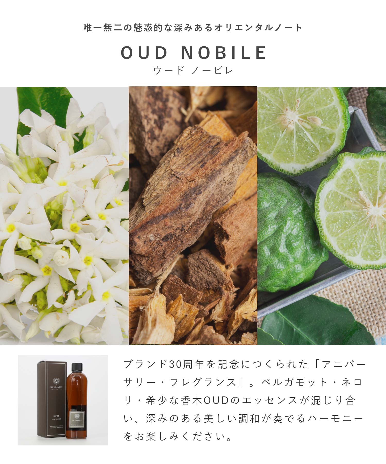 ドットール・ヴラニエス DR. VRANJES ドットール・ヴラニエス Dr. Vranjes ディフューザー 500mL 【返品不可商品】 （バニラ・マンダリン） バニラ・マンダリン