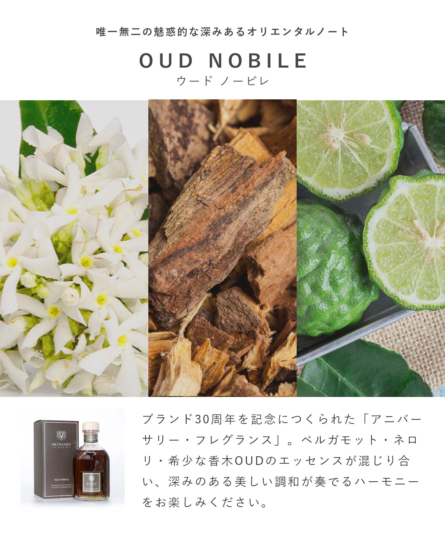 ドットール・ヴラニエス DR. VRANJES ドットール・ヴラニエス Dr. Vranjes ロッソノービレ ウードノービレ ボーボリ ディフューザー 500mL 【返品不可商品】 （ウードノービレ） ウードノービレ