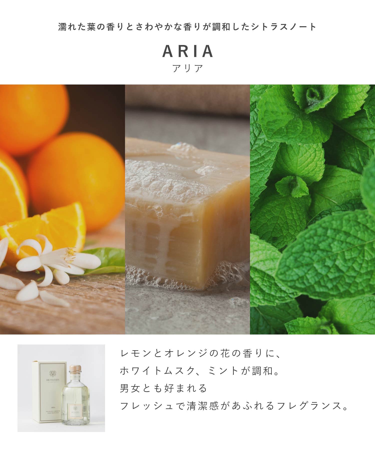 ドットール・ヴラニエス DR. VRANJES ドットール・ヴラニエス Dr. Vranjes ディフューザー 500mL 【返品不可商品】 （グリーン フラワーズ） グリーン フラワーズ