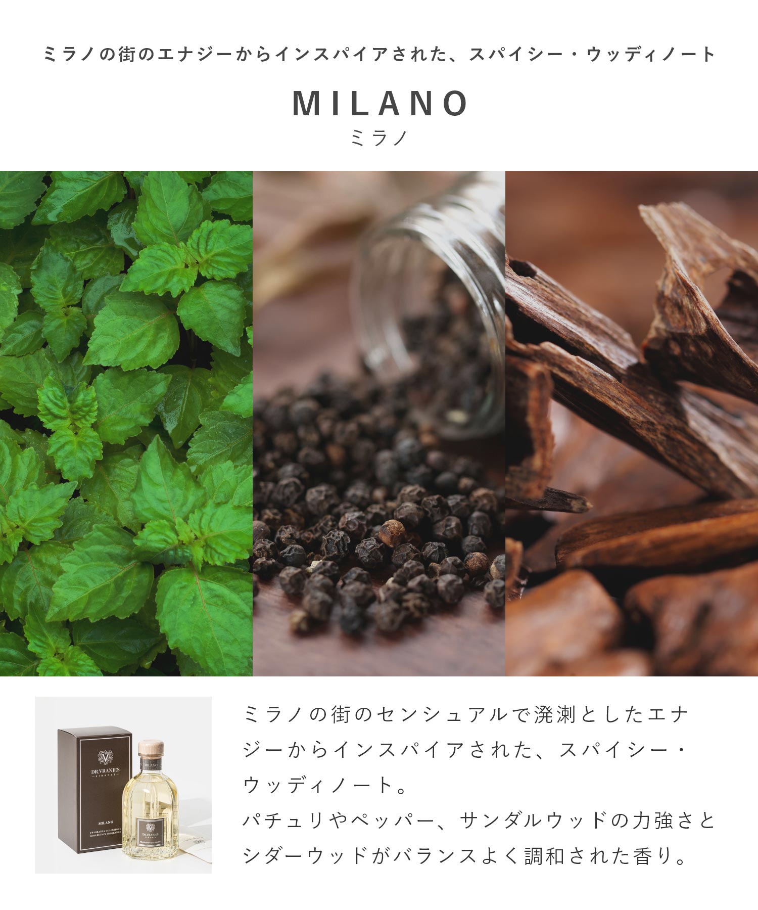 ドットール・ヴラニエス DR. VRANJES ドットール・ヴラニエス Dr. Vranjes ディフューザー 500mL 【返品不可商品】 （グリーン フラワーズ） グリーン フラワーズ