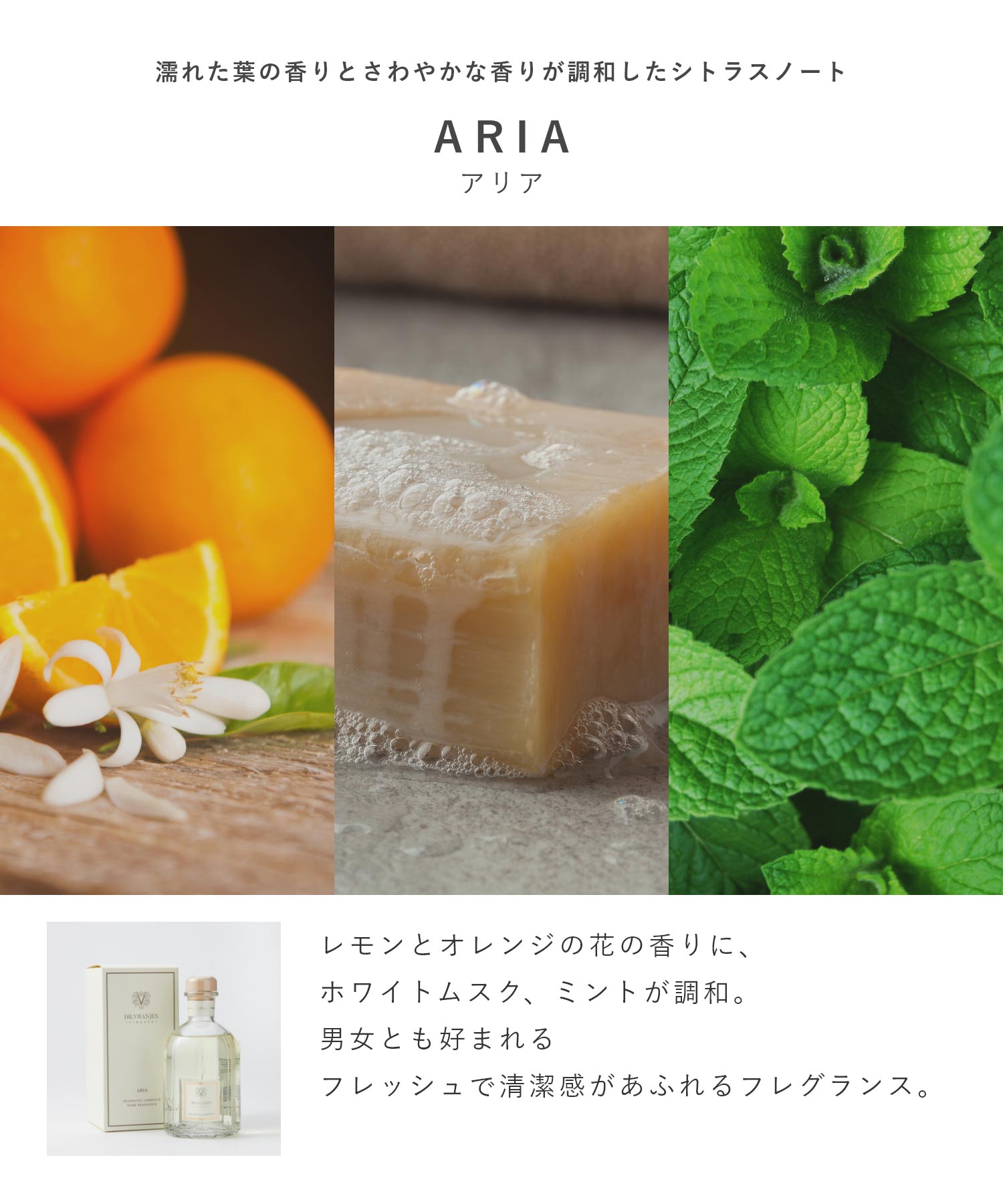 ドットール・ヴラニエス DR. VRANJES ドットール・ヴラニエス Dr. Vranjes ディフューザー 250mL 【返品不可商品】 （ミラノ） ミラノ