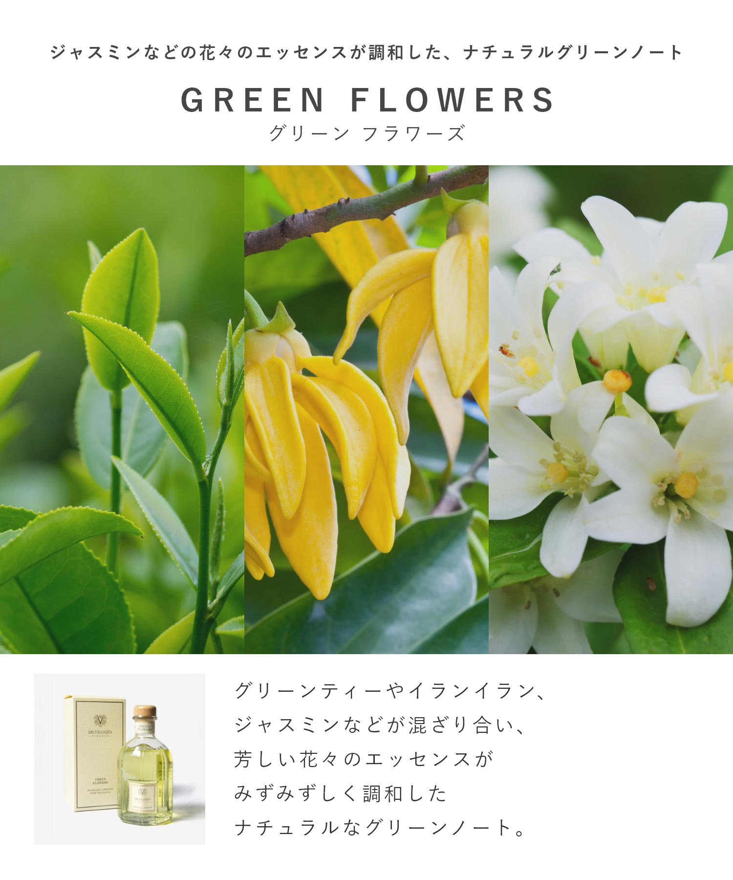 ドットール・ヴラニエス DR. VRANJES ドットール・ヴラニエス Dr. Vranjes ディフューザー 250mL 【返品不可商品】 （ミラノ） ミラノ