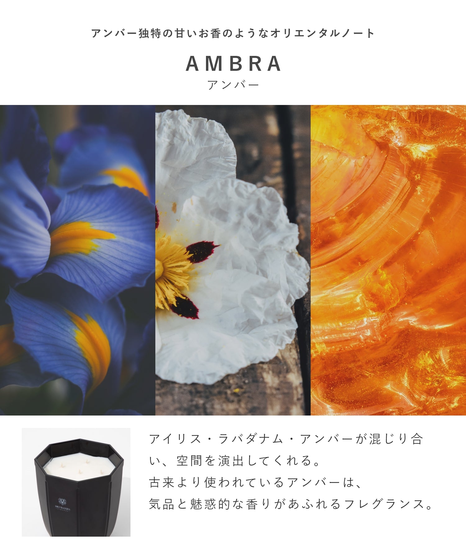 ドットール・ヴラニエス DR. VRANJES CANDELE D’ARREDO キャンドル 1kg ルームフレグランス HOME FRAGRANCE ホームフレグランス 【返品不可商品】 （ジンジャーライム×パール） ジンジャーライム×パール