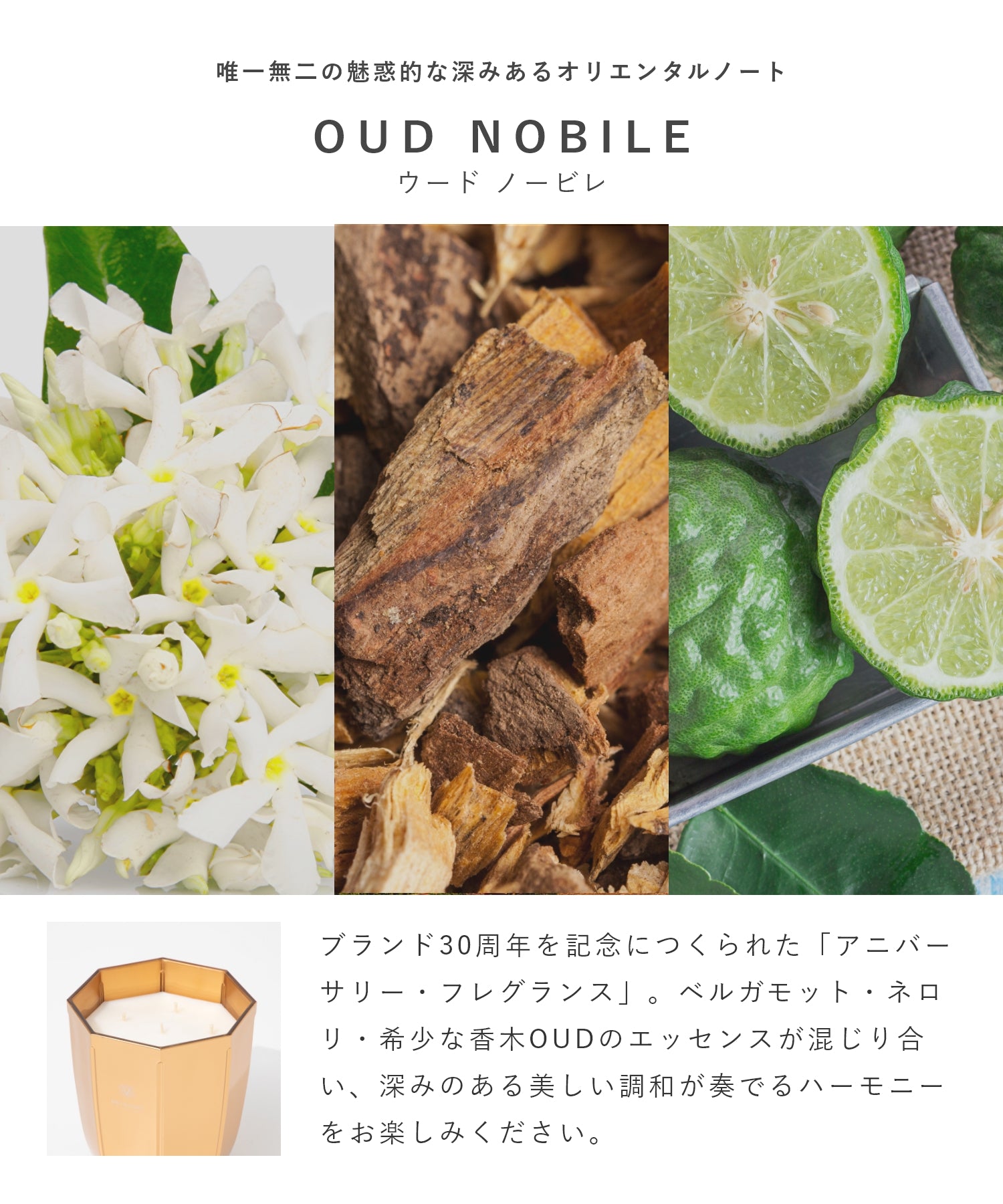 ドットール・ヴラニエス DR. VRANJES CANDELE D’ARREDO キャンドル 1kg ルームフレグランス HOME FRAGRANCE ホームフレグランス 【返品不可商品】 （ジンジャーライム×パール） ジンジャーライム×パール
