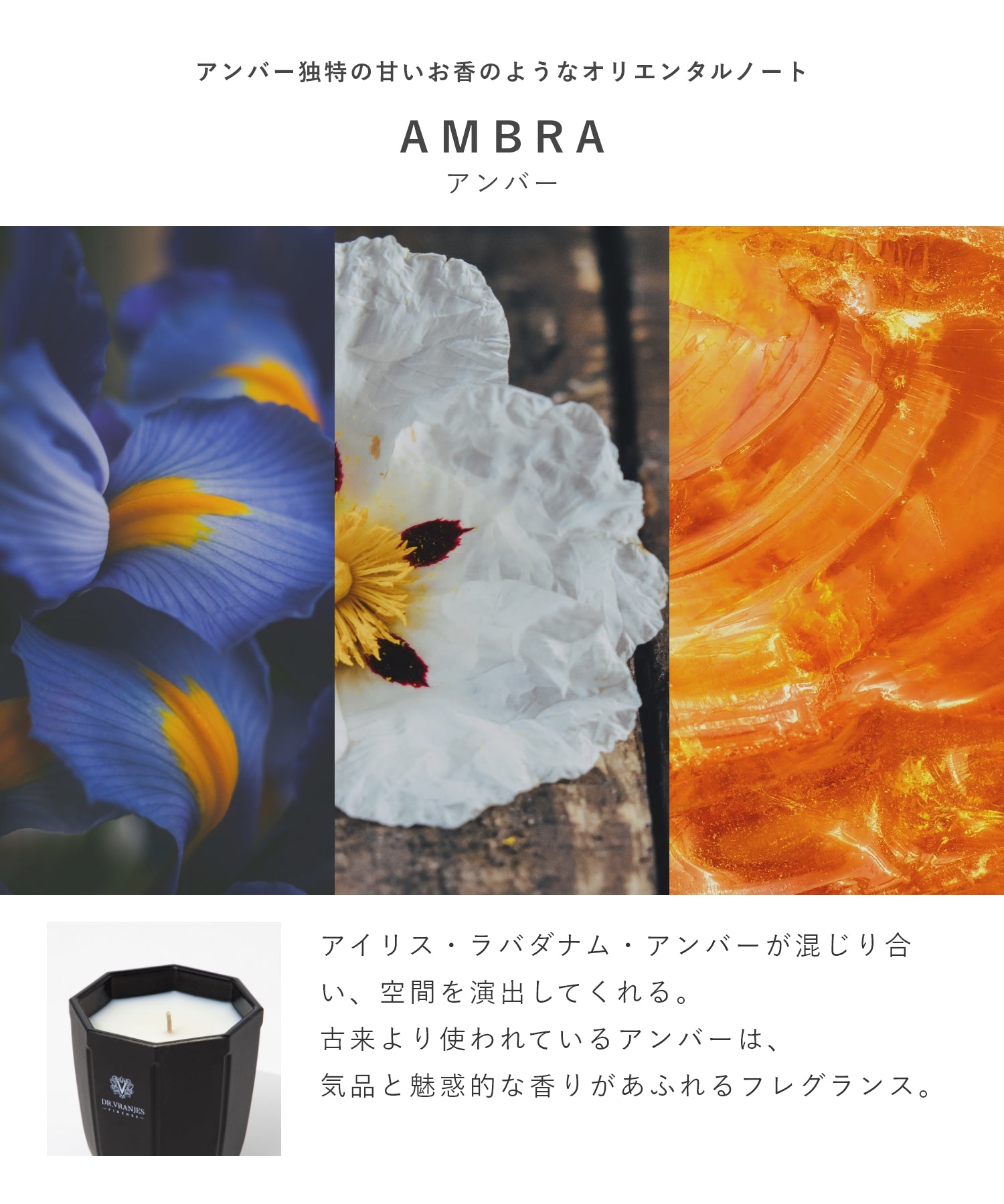 ドットール・ヴラニエス DR. VRANJES CANDELE D’ARREDO キャンドル 200g ルームフレグランス HOME FRAGRANCE ホームフレグランス 【返品不可商品】 （ウードノービレ×ゴールド） ウードノービレ×ゴールド