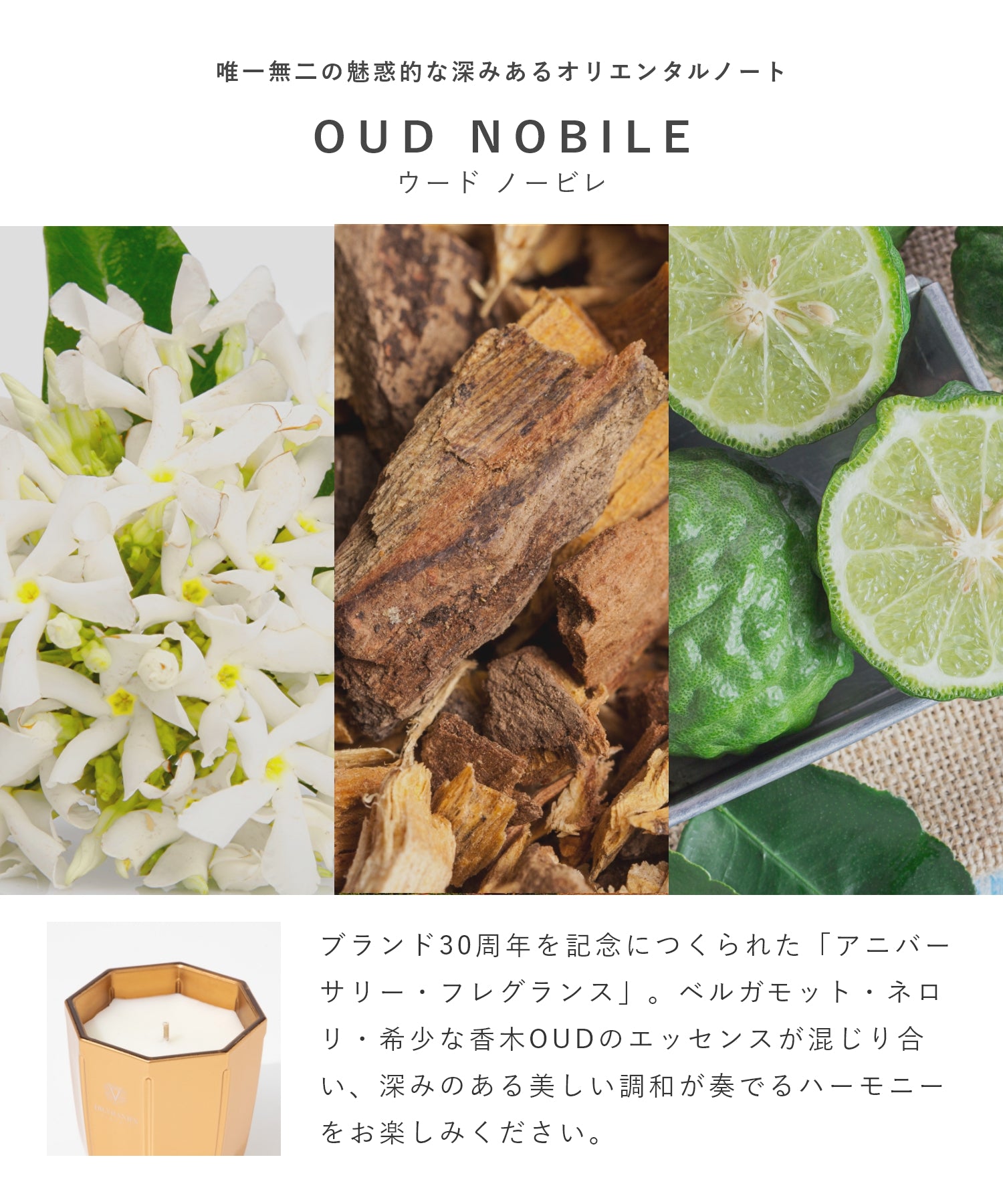 ドットール・ヴラニエス DR. VRANJES CANDELE D’ARREDO キャンドル 200g ルームフレグランス HOME FRAGRANCE ホームフレグランス 【返品不可商品】 （ウードノービレ×ゴールド） ウードノービレ×ゴールド