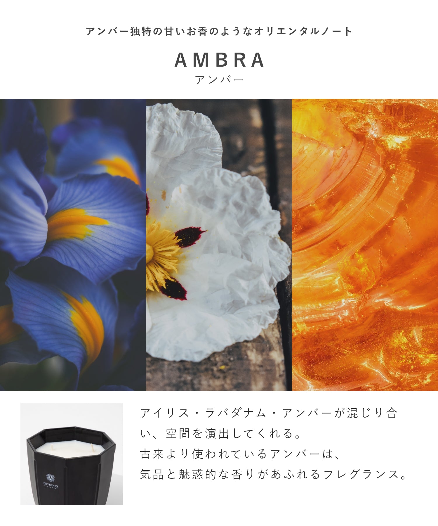 ドットール・ヴラニエス DR. VRANJES CANDELE D’ARREDO キャンドル 500g ルームフレグランス HOME FRAGRANCE ホームフレグランス 【返品不可商品】 （ウードノービレ×ゴールド） ウードノービレ×ゴールド