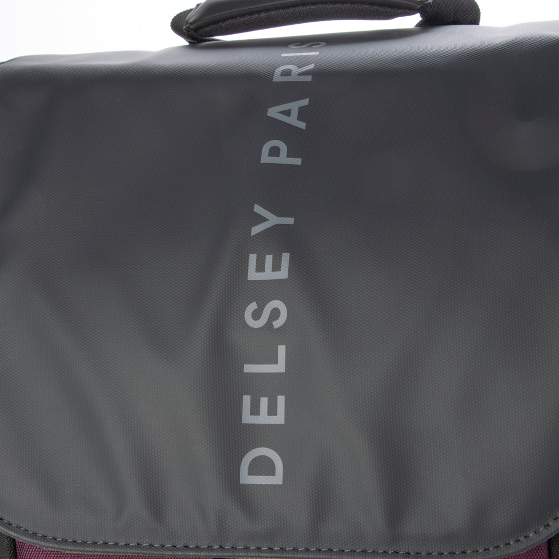 DELSEY PARIS 【 DELSEY Official】 SECURFLAP BACKPACK 16 Backpack 21L Compatible with 16-inch PC