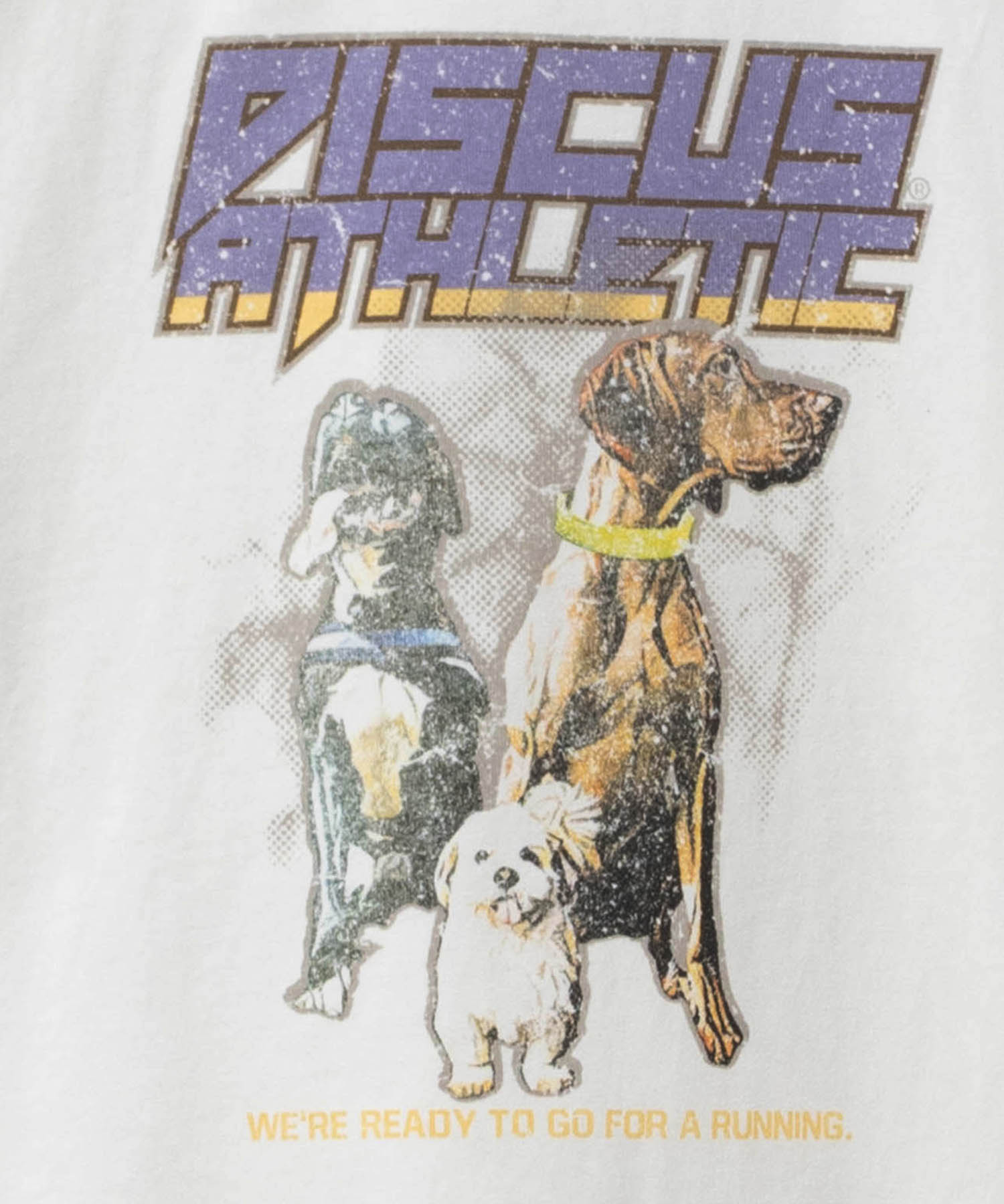 ディスカス アスレチック DISCUS ATHLETIC プリントビッグTシャツ 犬 （チャコール） チャコール