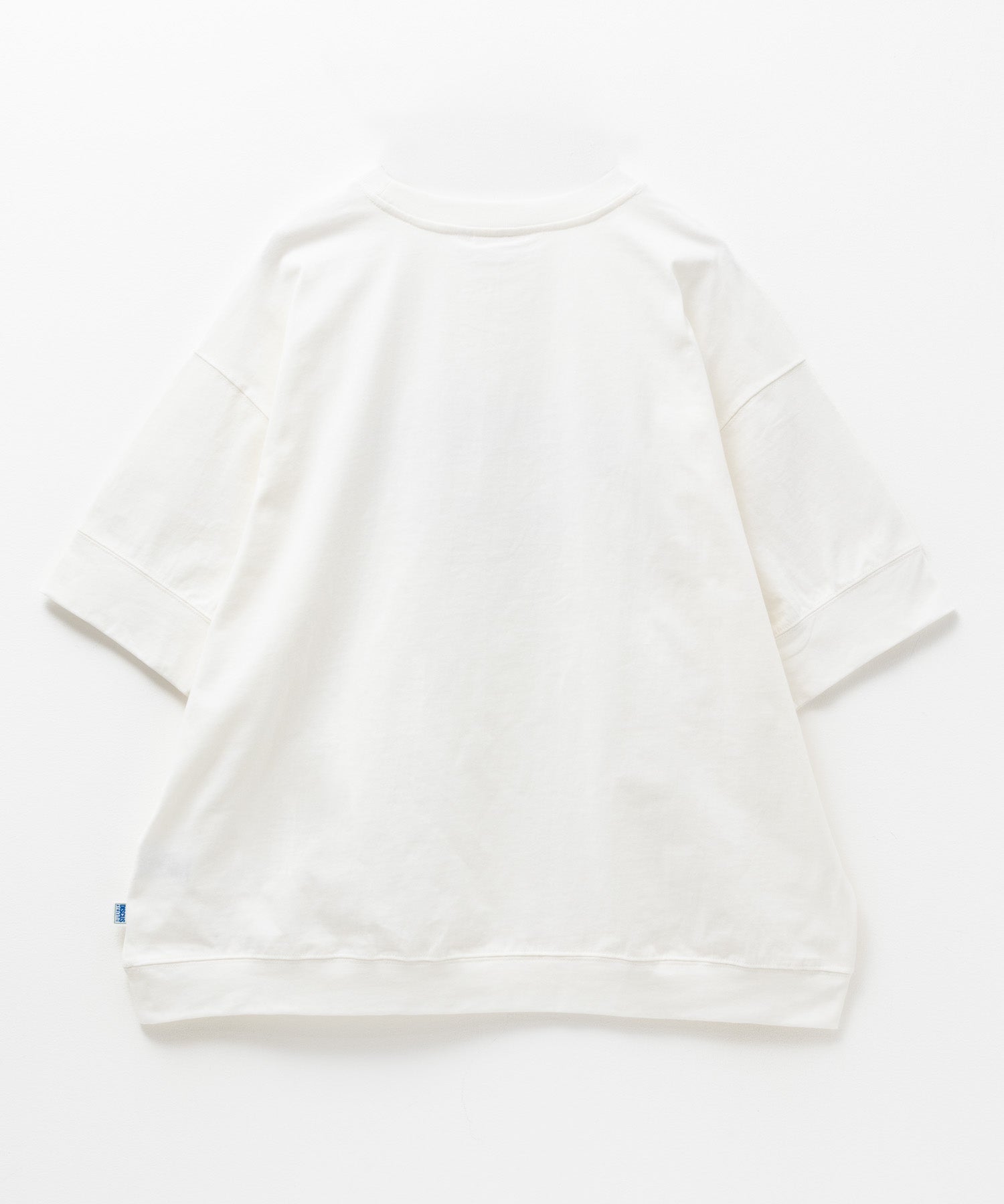ディスカス アスレチック DISCUS ATHLETIC カレッジワイドTシャツ （ブルー） ブルー
