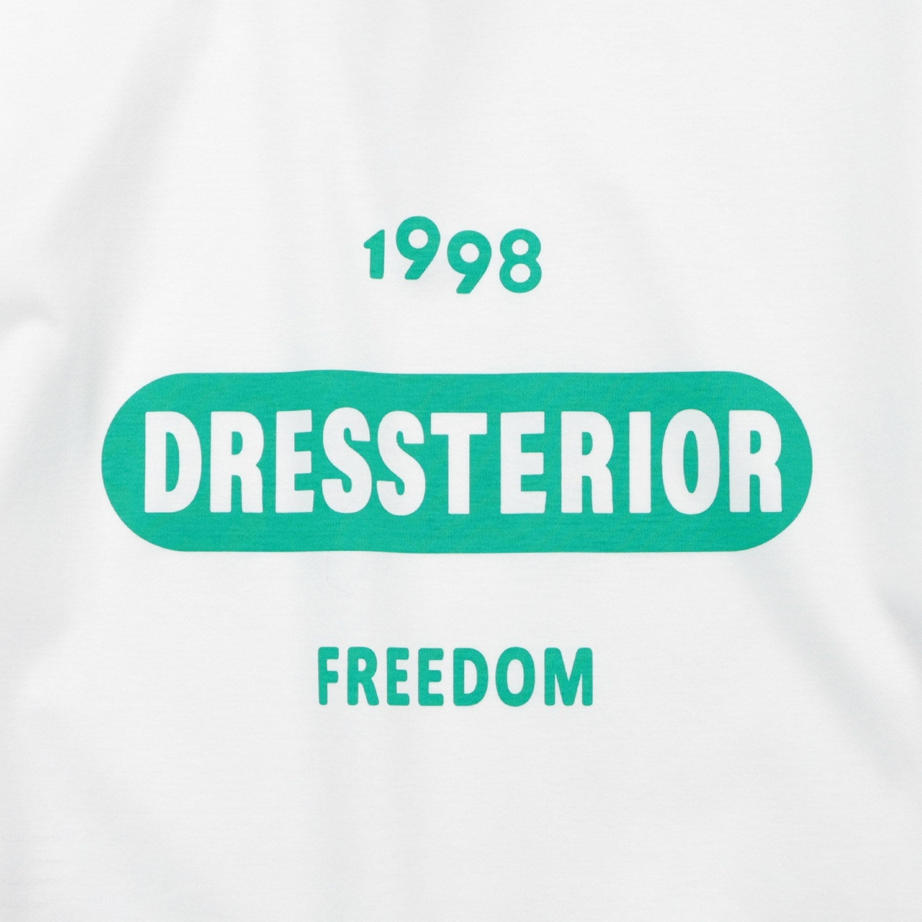 ドレステリア DRESSTERIOR 【接触冷感／抗菌防臭／消臭】ICE CLEAR COTTON 大阪ルクア&EC限定 ロゴT （ブラック(019)） ブラック(019)