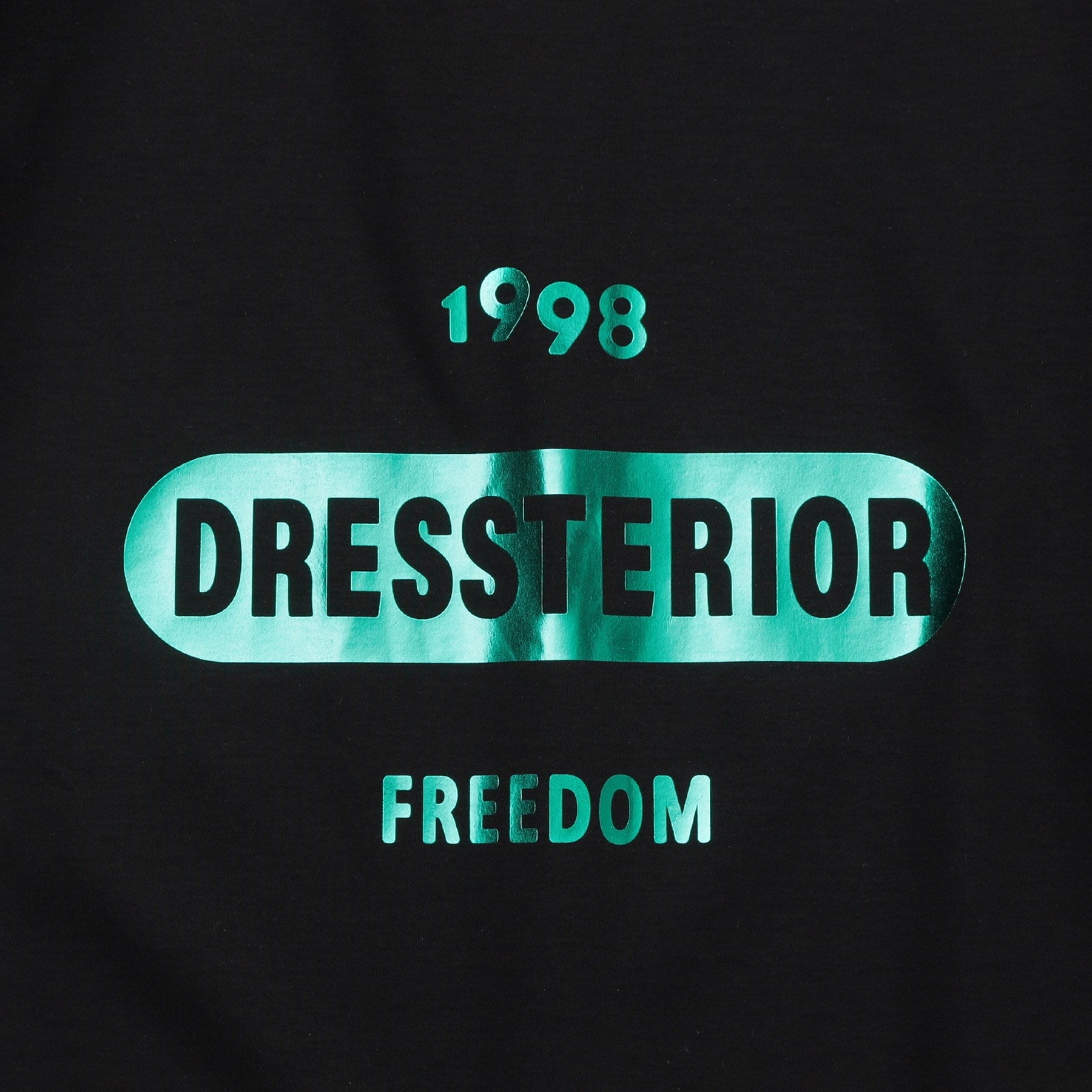 ドレステリア DRESSTERIOR 【接触冷感／抗菌防臭／消臭】ICE CLEAR COTTON 大阪ルクア&EC限定 ロゴT （ブラック(019)） ブラック(019)
